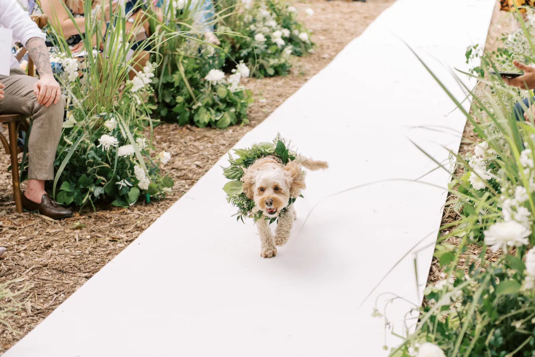 Dog as Flower Girl for Garden Wedding Ceremony Inspiration
