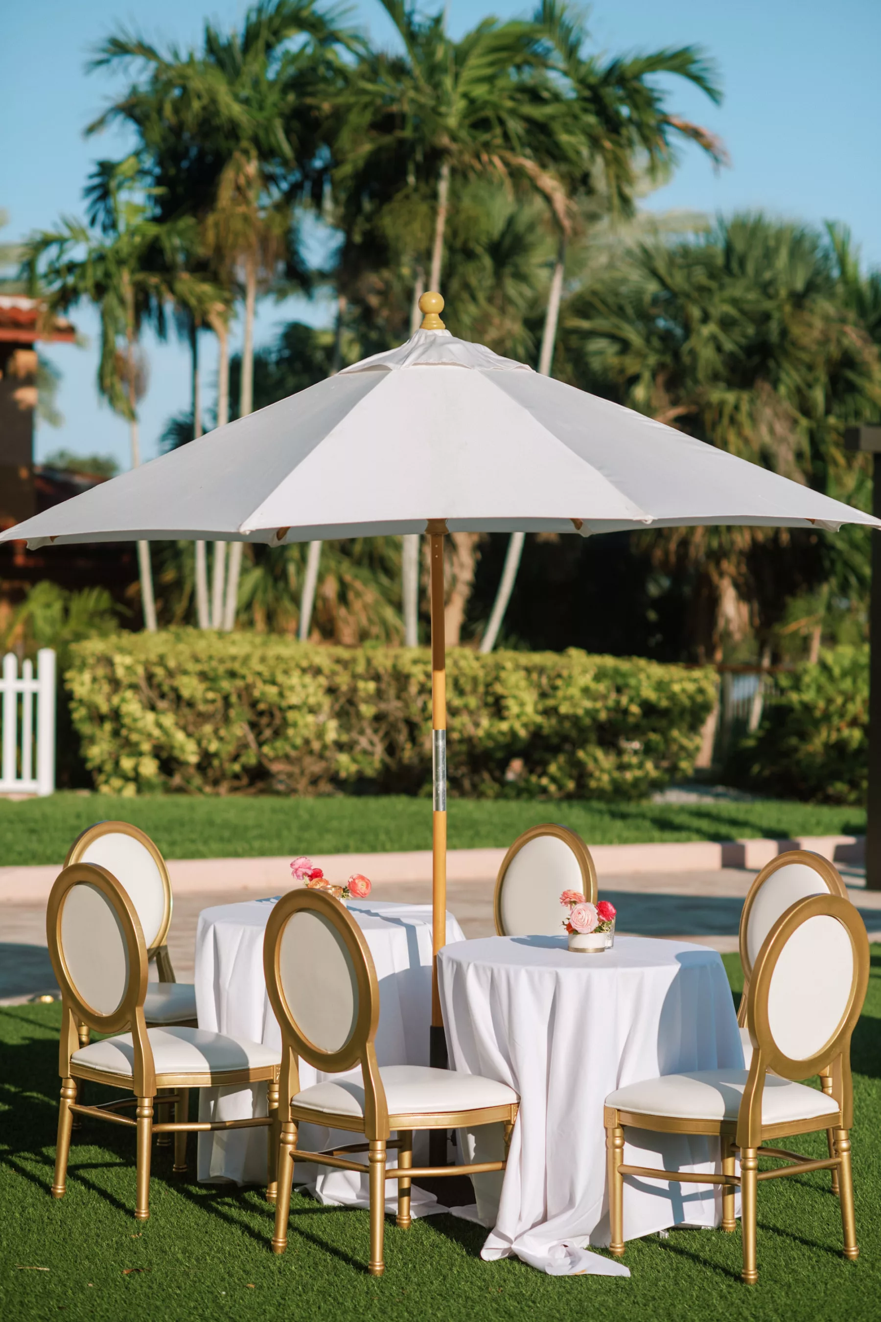 Outdoor Wedding Reception Cocktail Hour Ideas | Gold Louis Chairs | St Pete Decor Kate Ryan Event Rentals