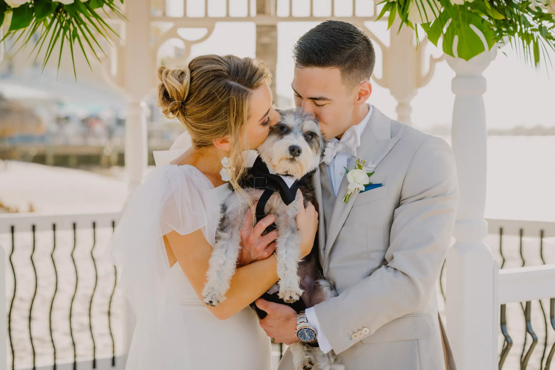 Bride and Groom with Their Dog Wedding Portrait | Tuxedo Bandana Ideas | Waterfront St Pete Venue Isla Del Sol Yacht and Country Club
