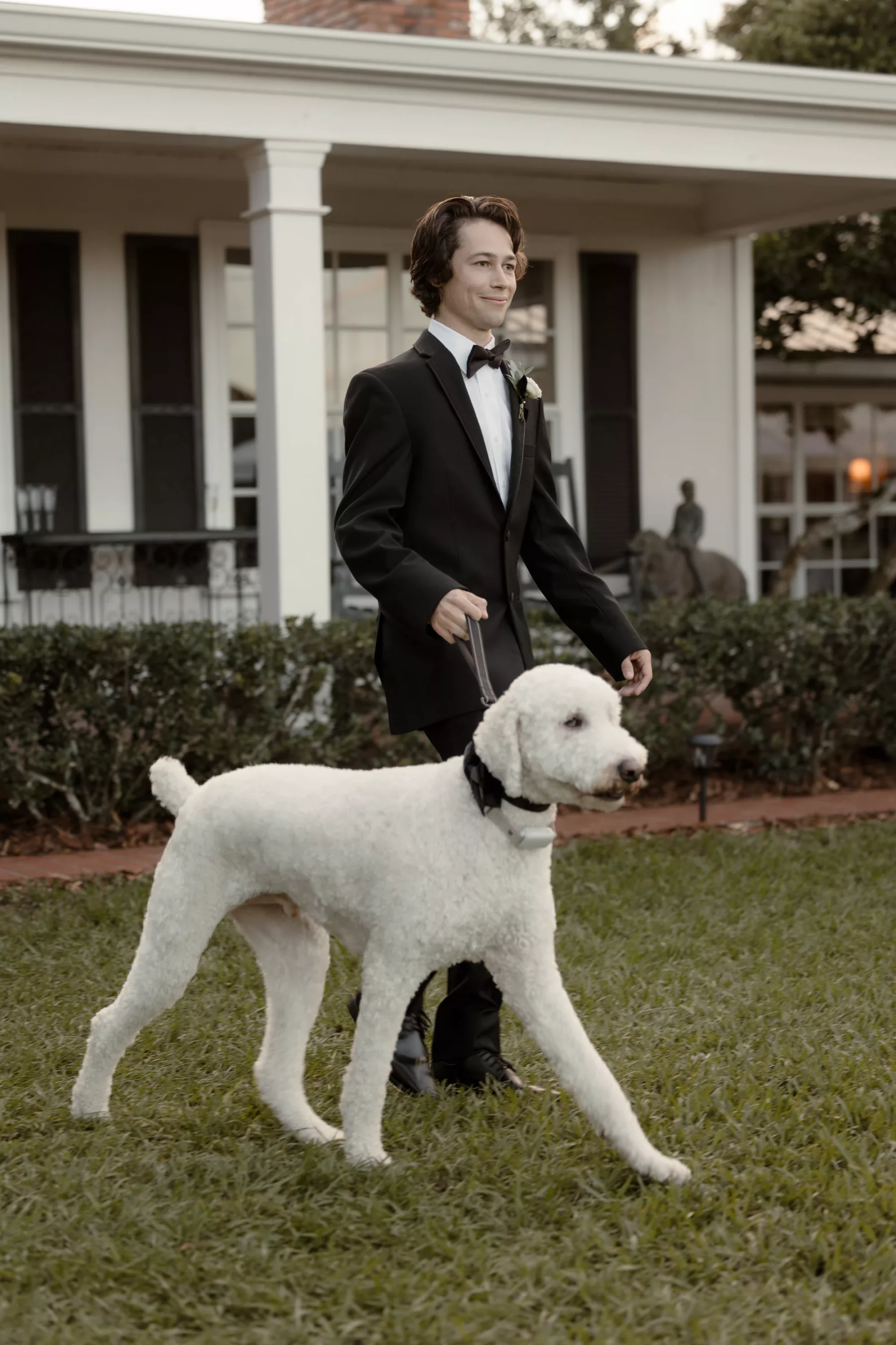 Groomsmen Walking with Dog Wedding Portrait