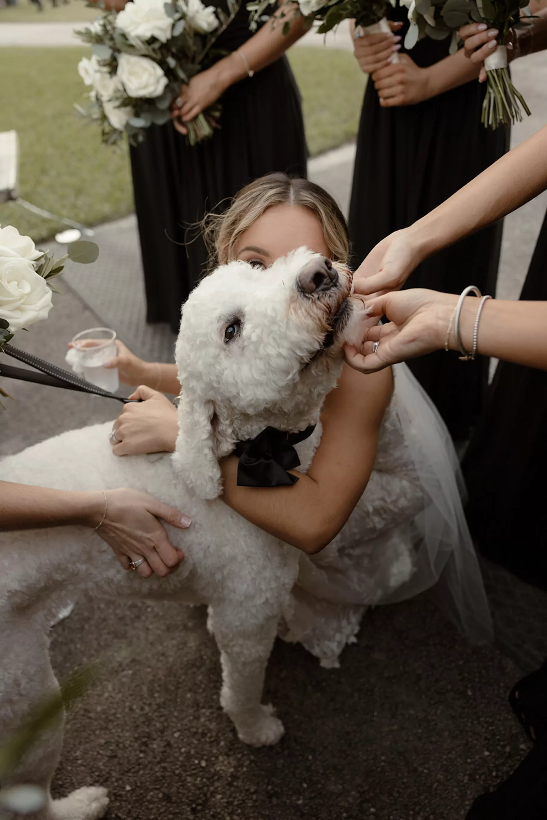 Bride with her Dog Wedding Portrait