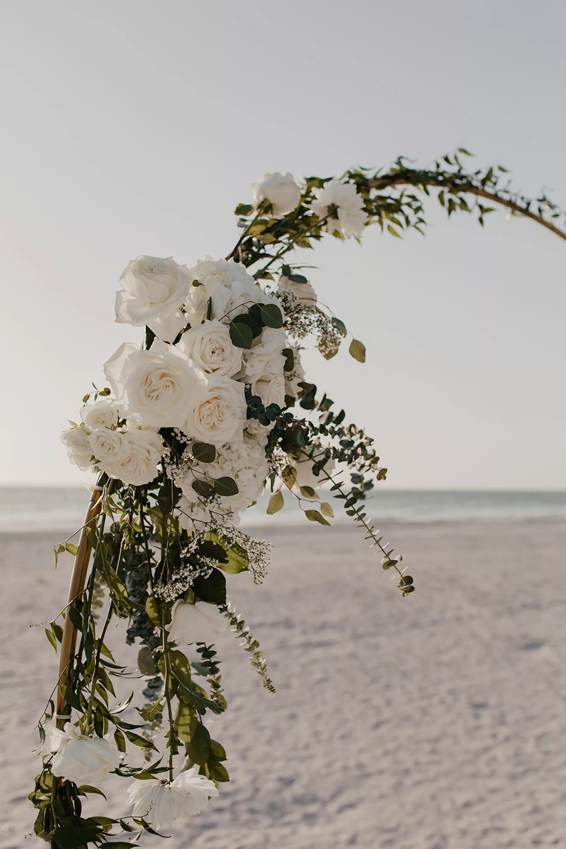 Elegant Beach Wedding Ceremony Arch with White Roses, Baby's Breath, and Greenery Inspiration | Tampa Bay Florist Lemon Drops
