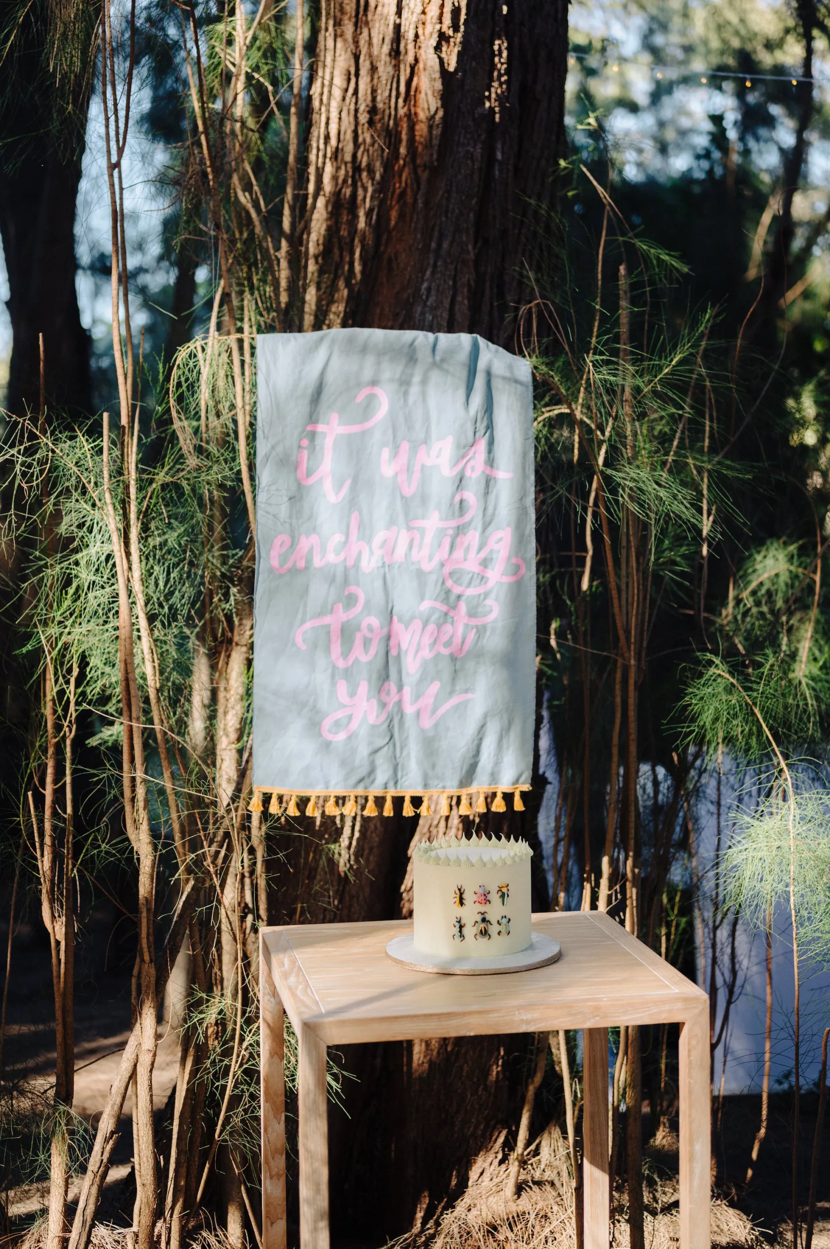 It Was Enchanting to Meet You Taylor Swift Whimsical Wedding Sign Decor Ideas | Single-Tiered Wedding Cake with Bug Accents