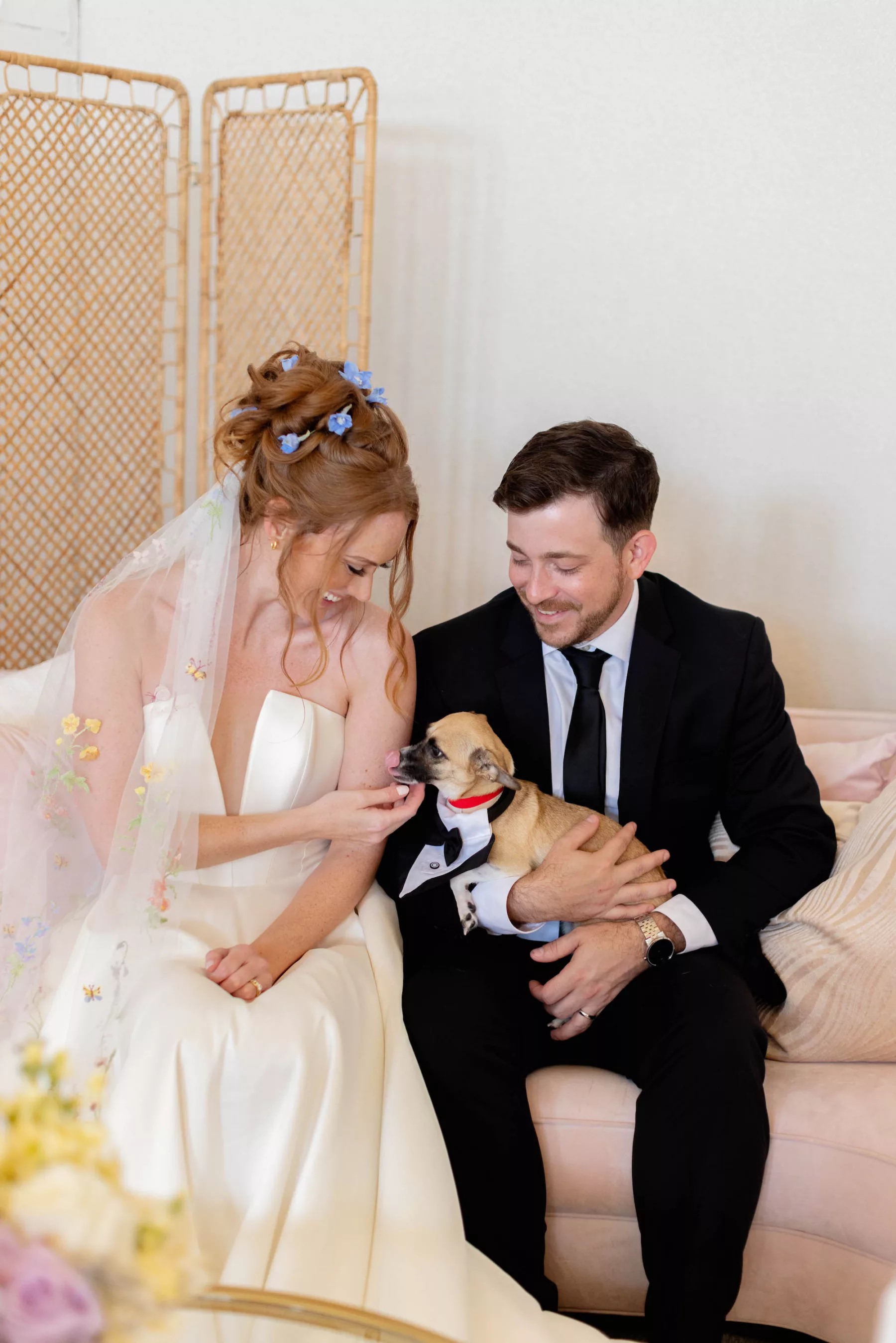 Bride and Groom with Dog | Dog in Tuxedo Bandana | Tampa Bay Fairytail Pet Care