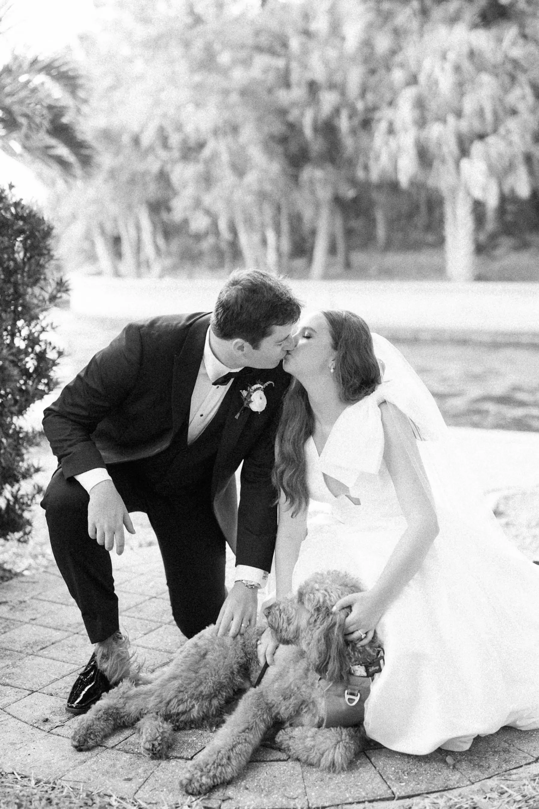 Bride and Groom with Dog Black and White Wedding Portrait | Sarasota Photographer Rachel Elle Photography