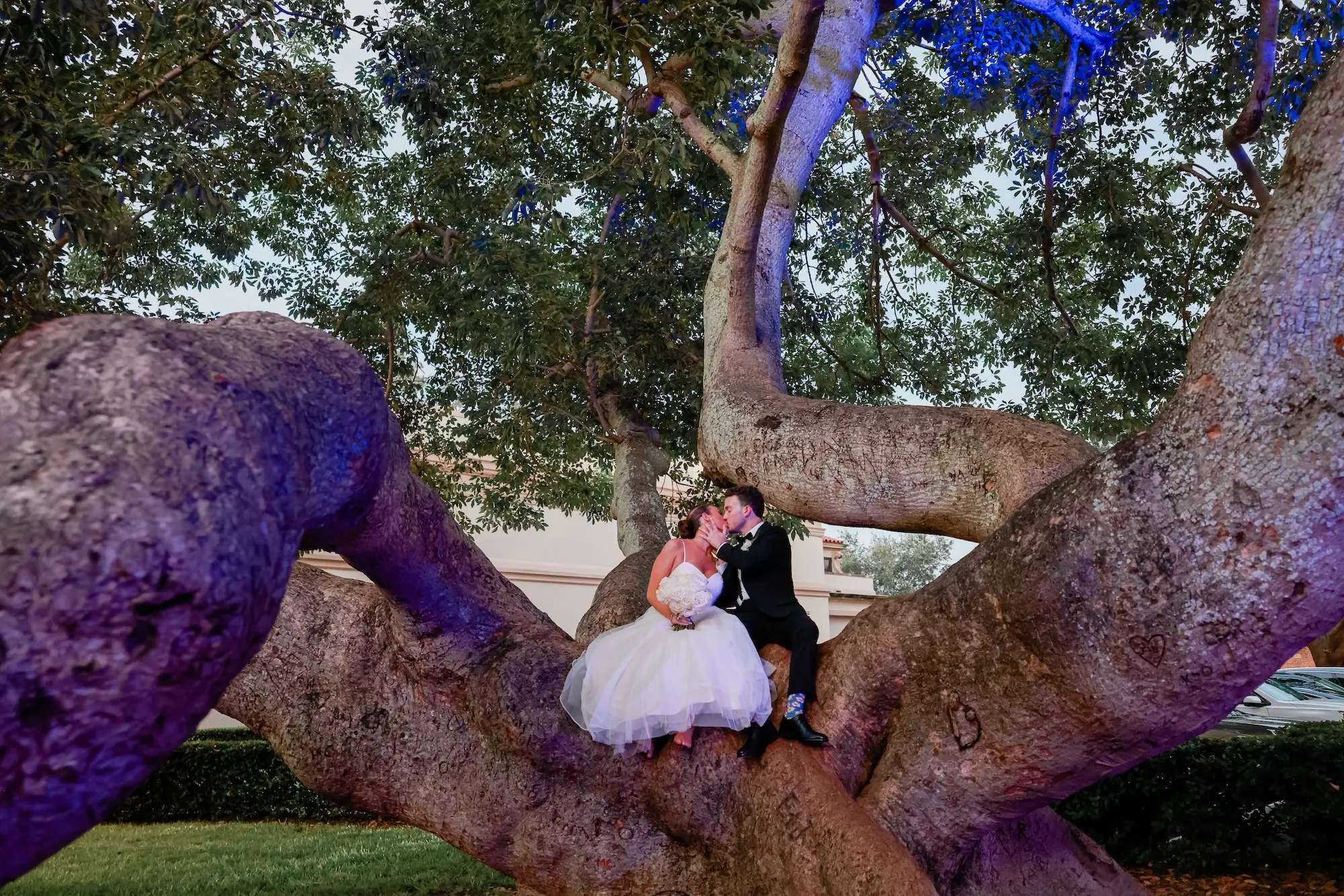 22Elegant Green White and Gold Ballroom Wedding jpg - Tropical Green and White Downtown St. Pete Wedding | The Birchwood Bride and Groom Wedding Portrait | St Pete Photographer Lifelong Photography Studio