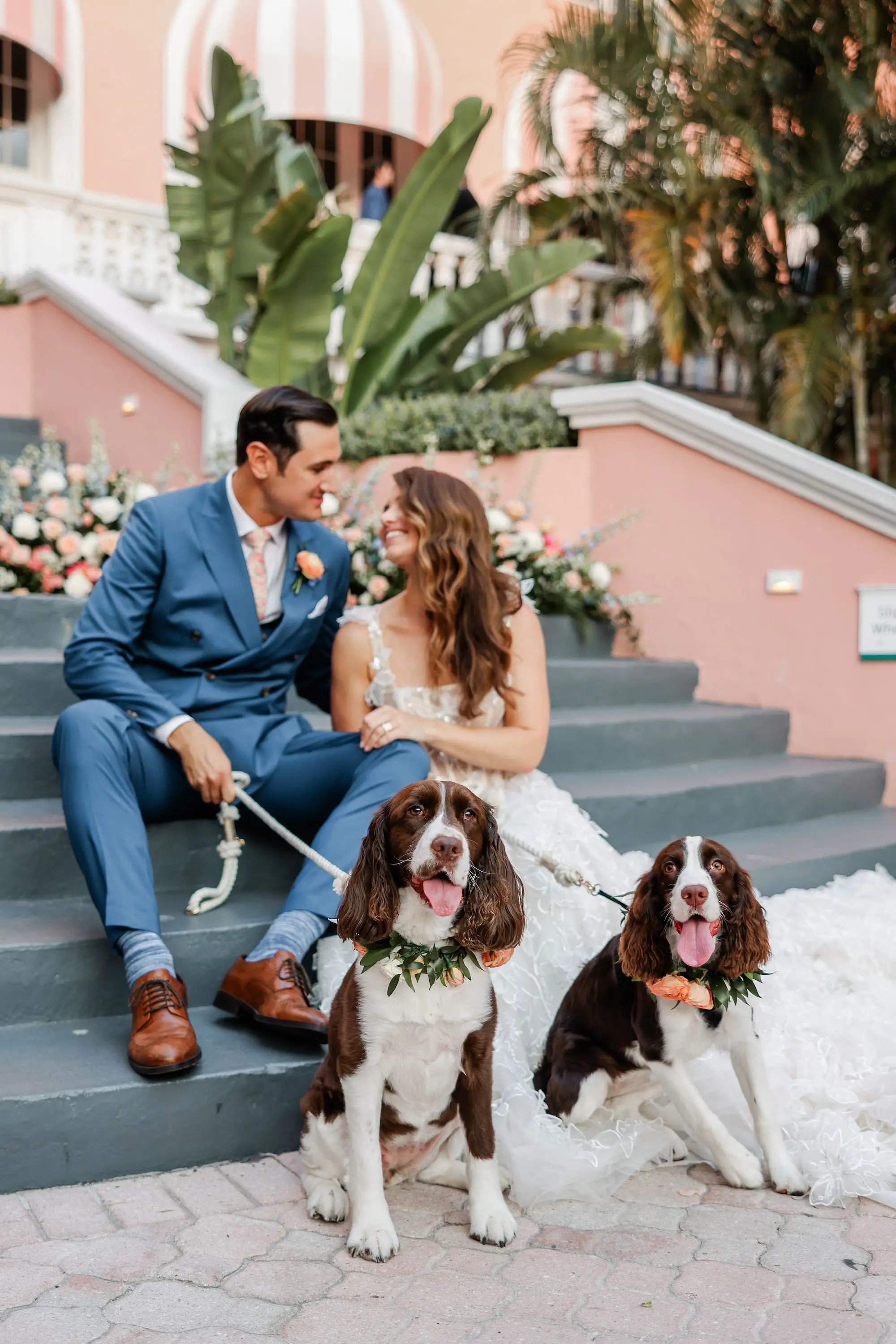 Bride and Groom with Dogs Petes Cocker Spaniels on Historic St. Pete Beach Pink Hotel Steps Wedding Portrait | Wedding Venue Don CeSar | Ybor Hair and Makeup Artist Adore Bridal Hair and Makeup | Fairytail Pet Care Tampa Bay | Tampa Bay Planner Blue Skies Weddings and Events | St Pete Photographer Lifelong Photography Studio