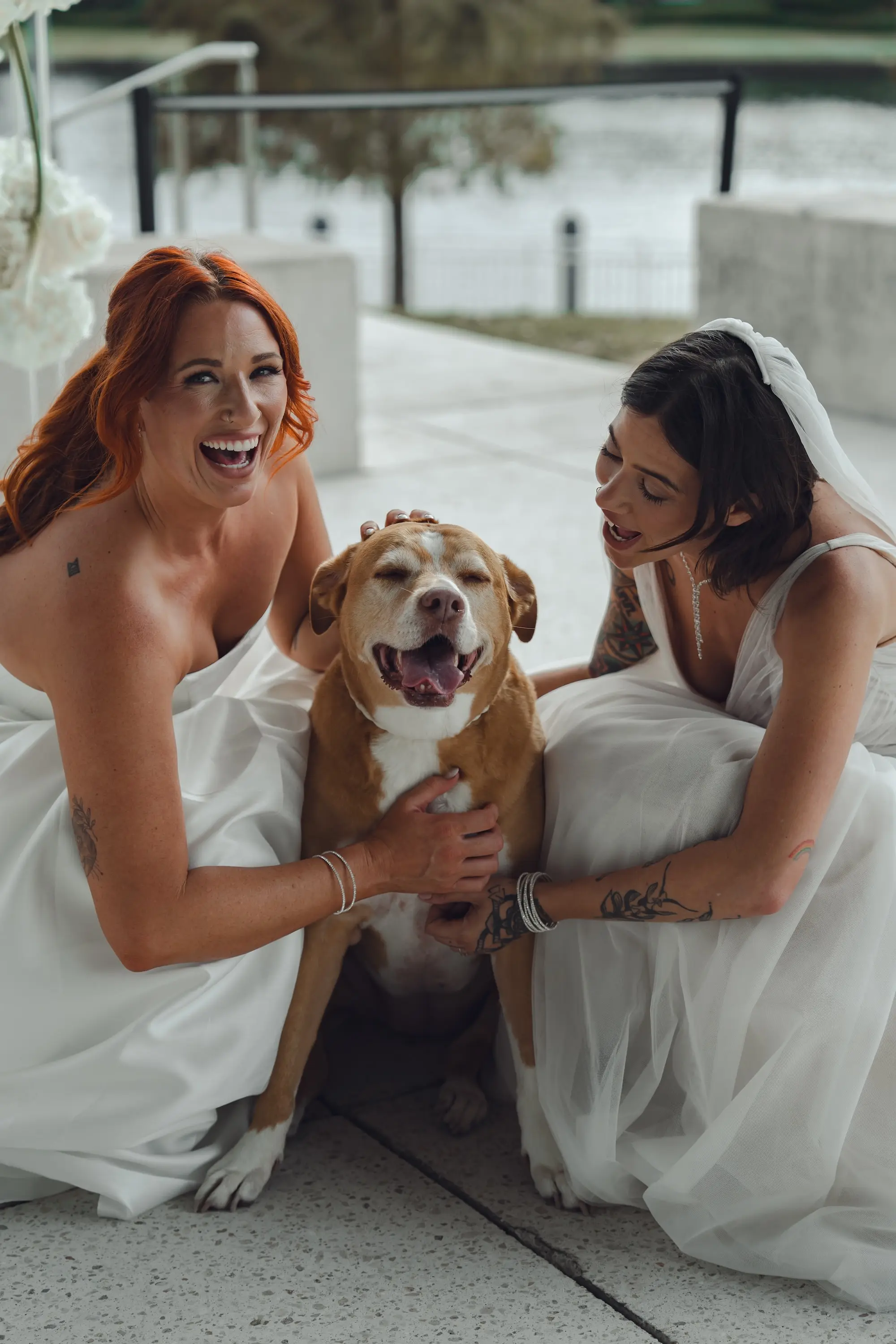 Bride and Bride Same Sex Wedding Portrait | Tampa Bay Photographer Amber Yonker Photography