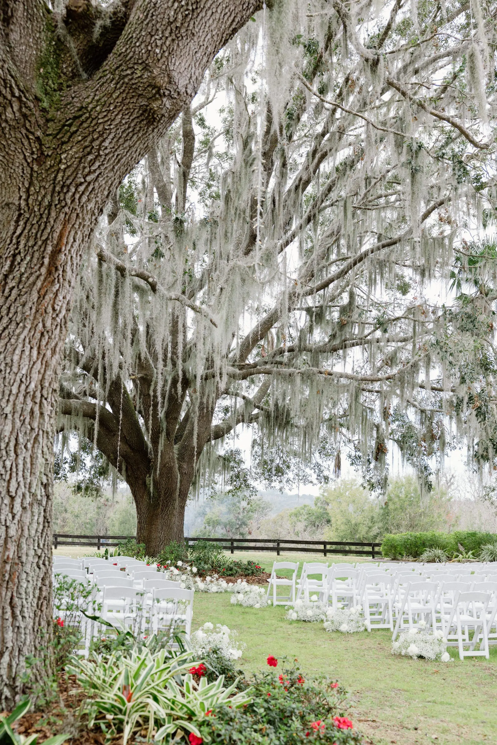 Outdoor Oak Tree Wedding Ceremony Inspiration | Baby's Breath Altar Ceremony Decor Ideas | White Ceremony Wedding Chairs Ideas | Tampa Bay Event Venue La Hacienda at Snow Hill