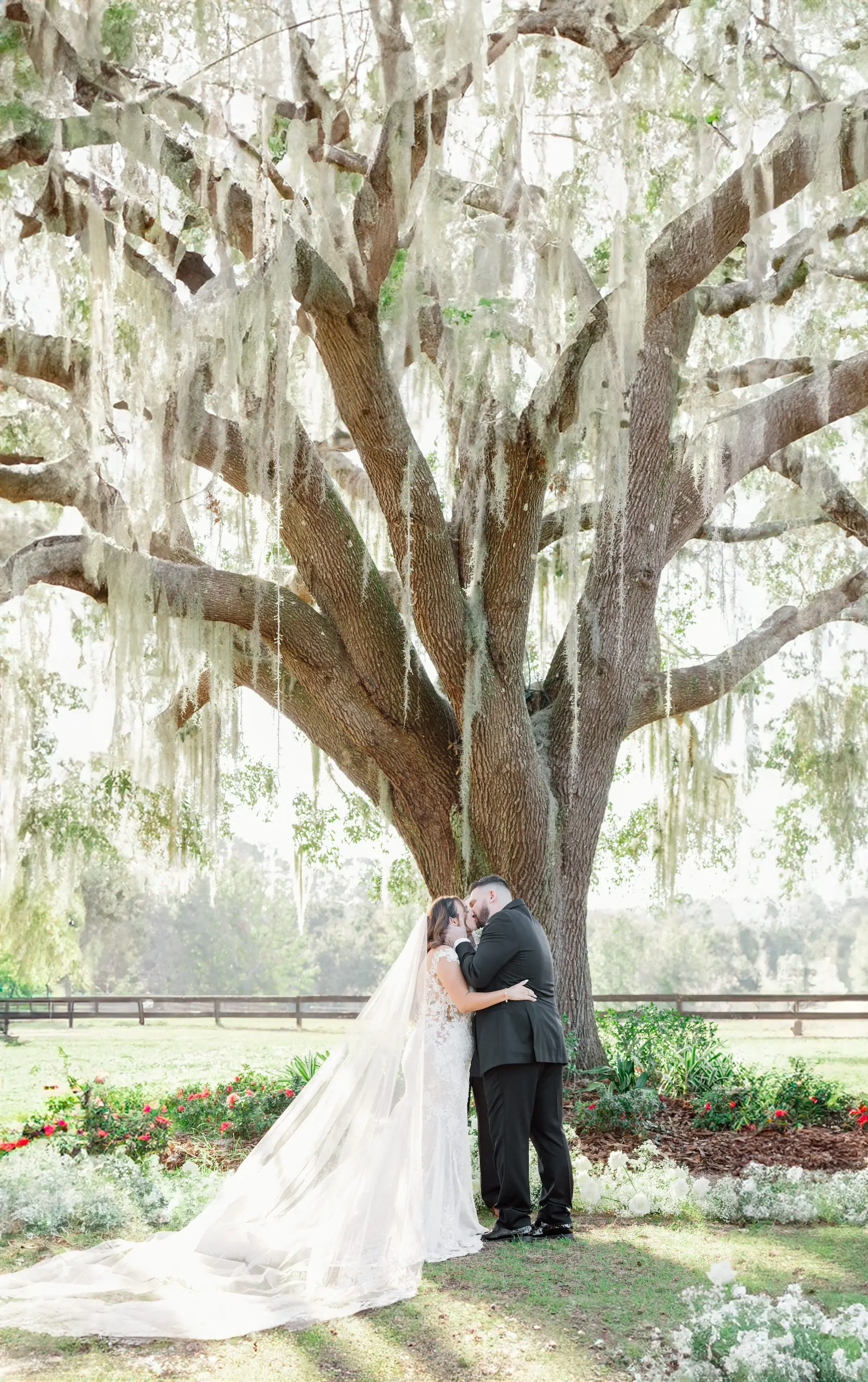 Bride and Groom Altar Wedding Portrait | Outdoor Oak Tree Wedding Ceremony Inspiration | Baby's Breath Altar Ceremony Decor Ideas | White Ceremony Wedding Chairs Ideas | Tampa Bay Event Venue La Hacienda at Snow Hill