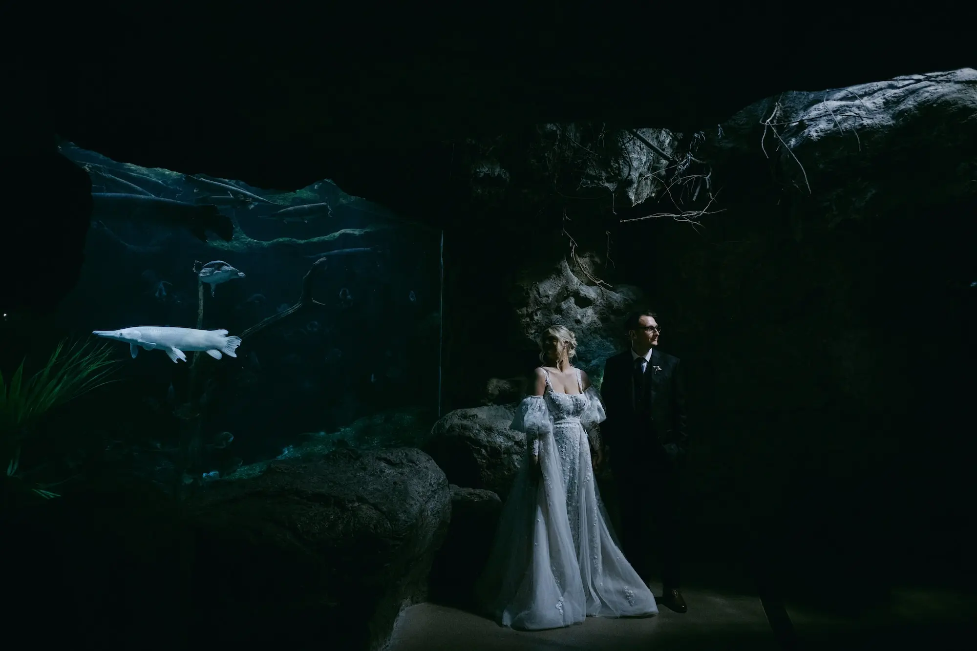 Bride and Groom Wedding Portrait | Tampa Bay Event Venue Florida Aquarium | Content Creators Behind The Vows
