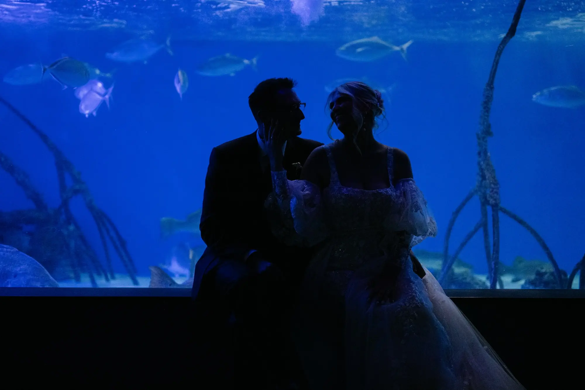 Bride and Groom Wedding Portrait | Tampa Bay Event Venue Florida Aquarium | Content Creators Behind The Vows