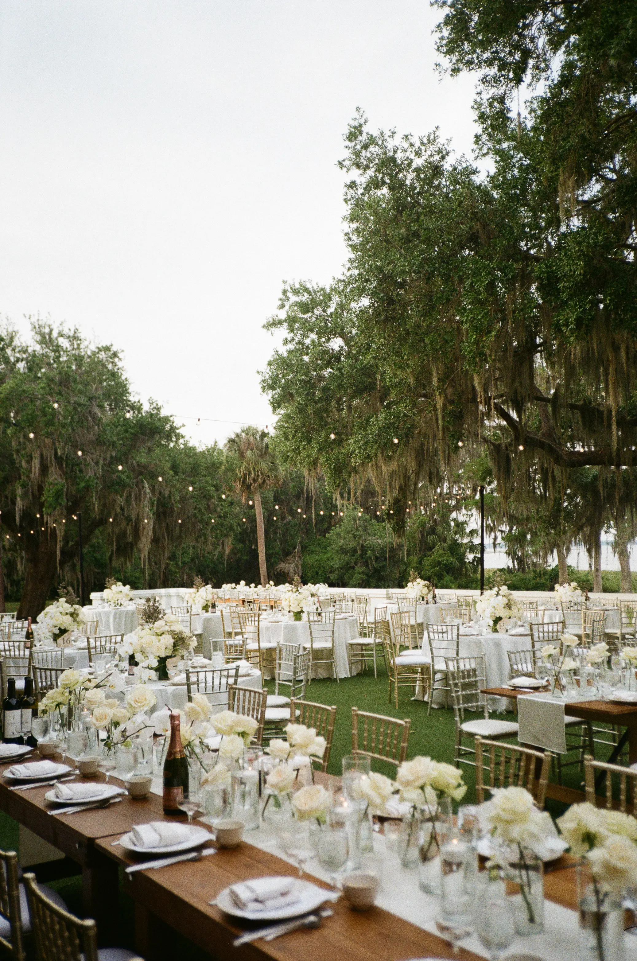 The Olive Tree Weddings
