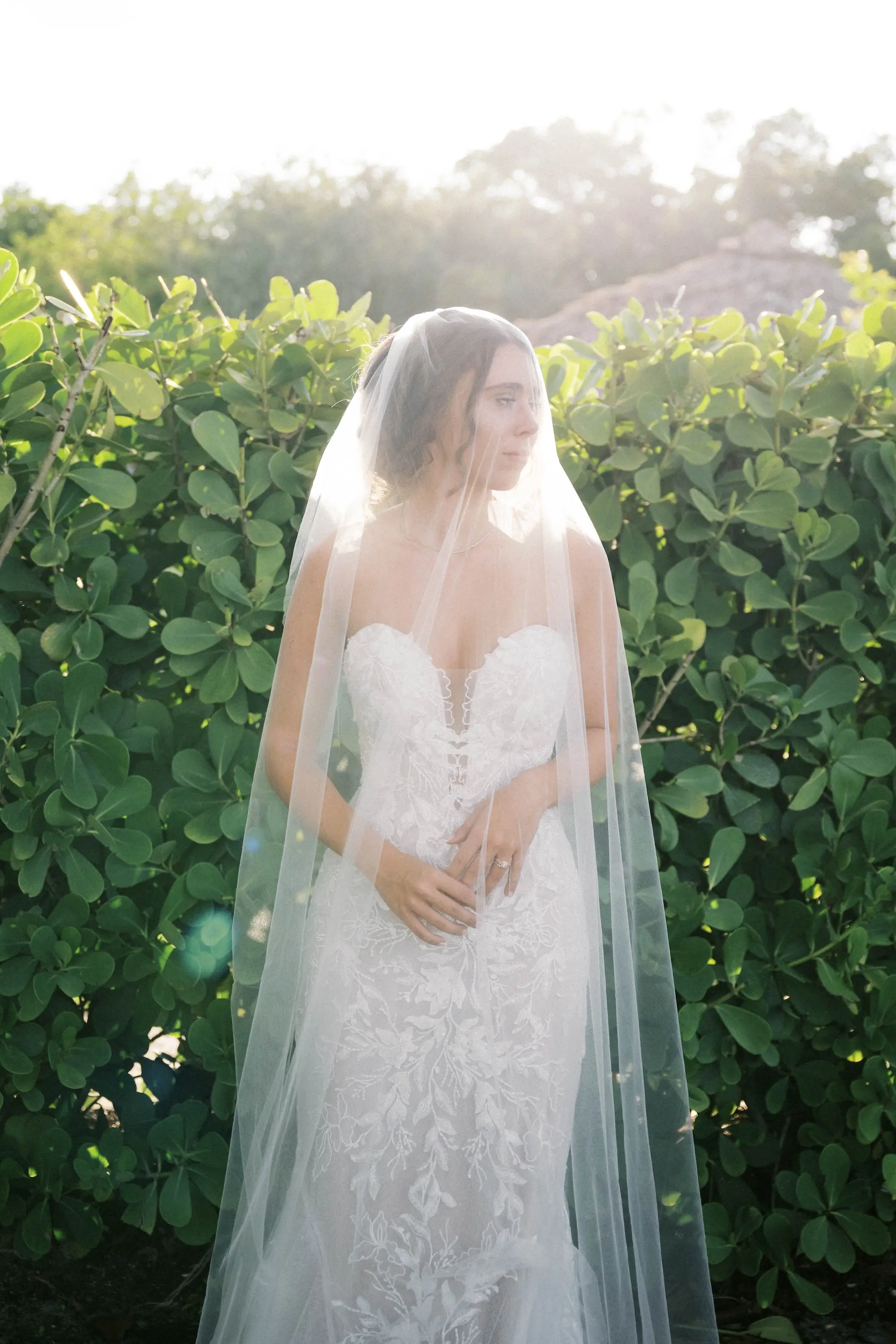Bridal Wedding Portrait | White Lace Martina Leanna Wedding Dress Inspiration