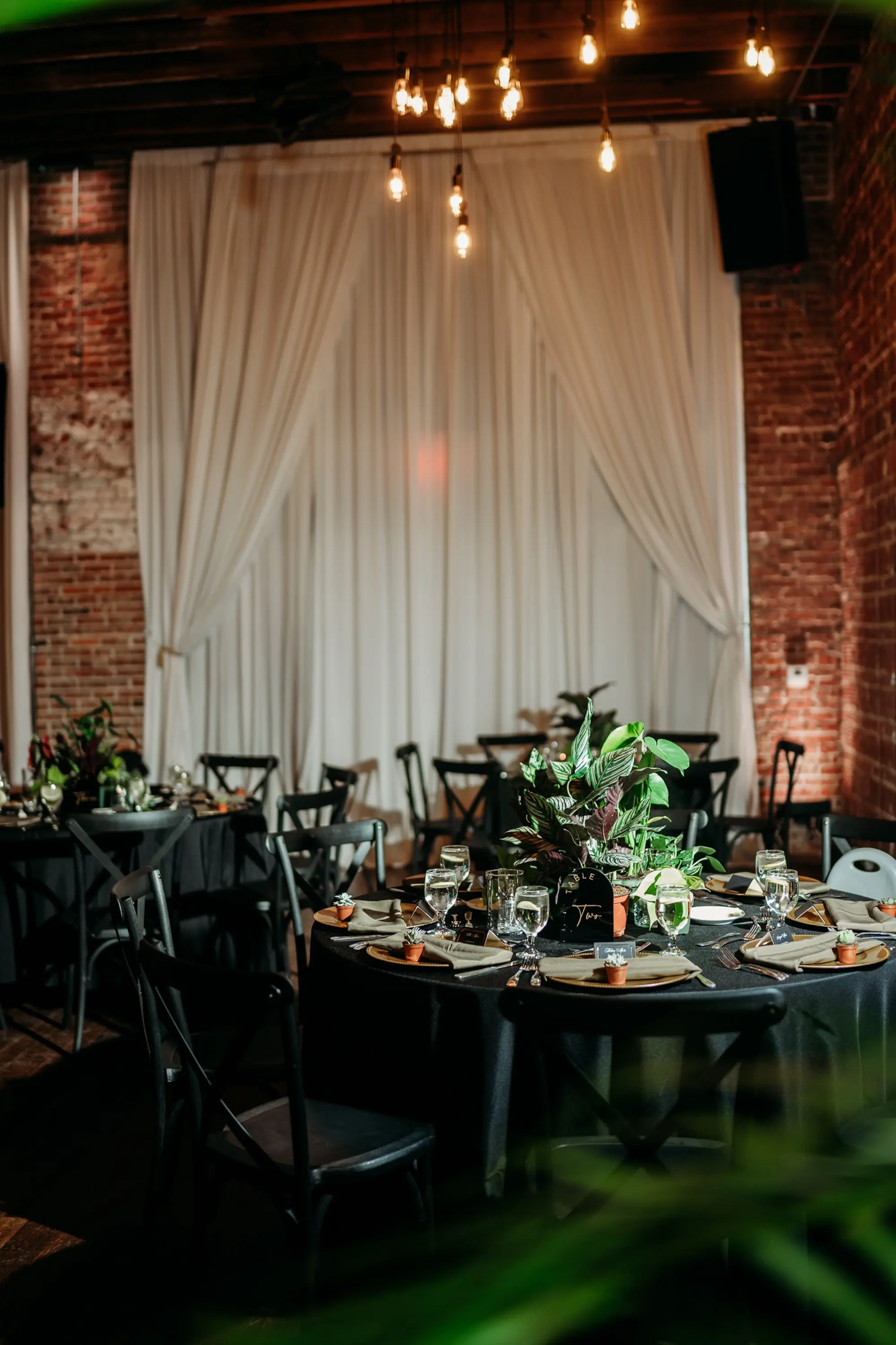 Moody, Dark Wedding Reception Tablescape with Black Linens and Gold Chargers with Olive Green Napkin Decor Ideas | Potted Plants Ferns, Eucalyptus, Greenery, Succulents Wedding Reception Decor Inspiration | Downtown St Pete Wedding Venue NOVA 535