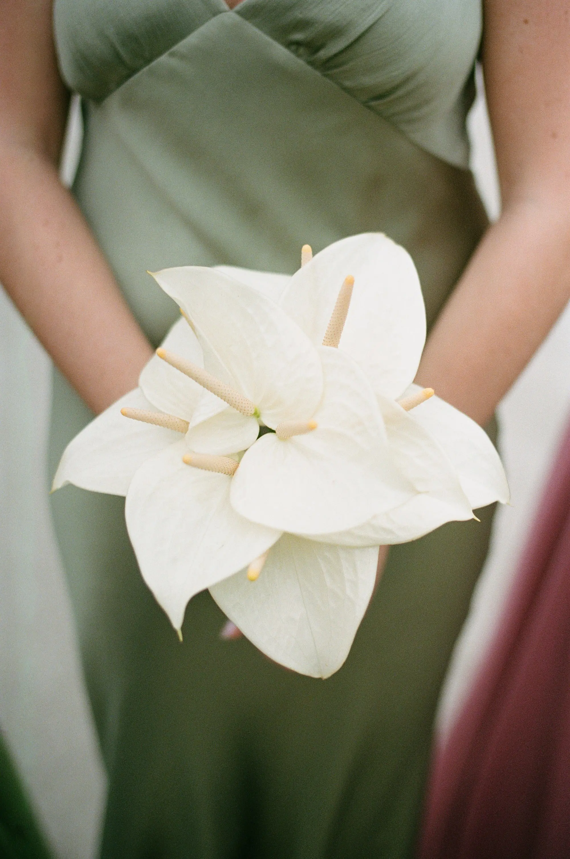 White Flower Wedding Bouquet Ideas