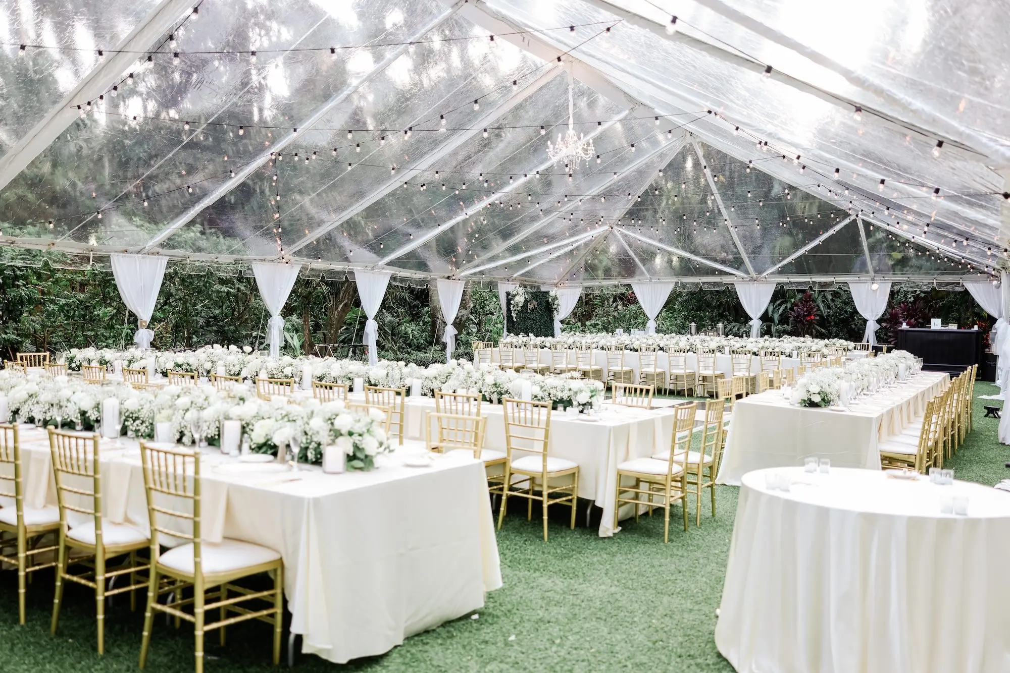 22Elegant Timeless Ivory and Green St Pete Wedding Venue Sunken Gardens - Romantic Outdoor St. Pete Wedding | Sunken Gardens Outdoor Tented Wedding Reception with String Lights Decor Inspiration | Gold Chiavari Chairs at Long White Linen Reception Tables Ideas | White Roses with Baby's Breath Centerpiece Garland Reception Decor Inspiration | Tampa Bay Rentals Fiesta Solutions Event Rentals