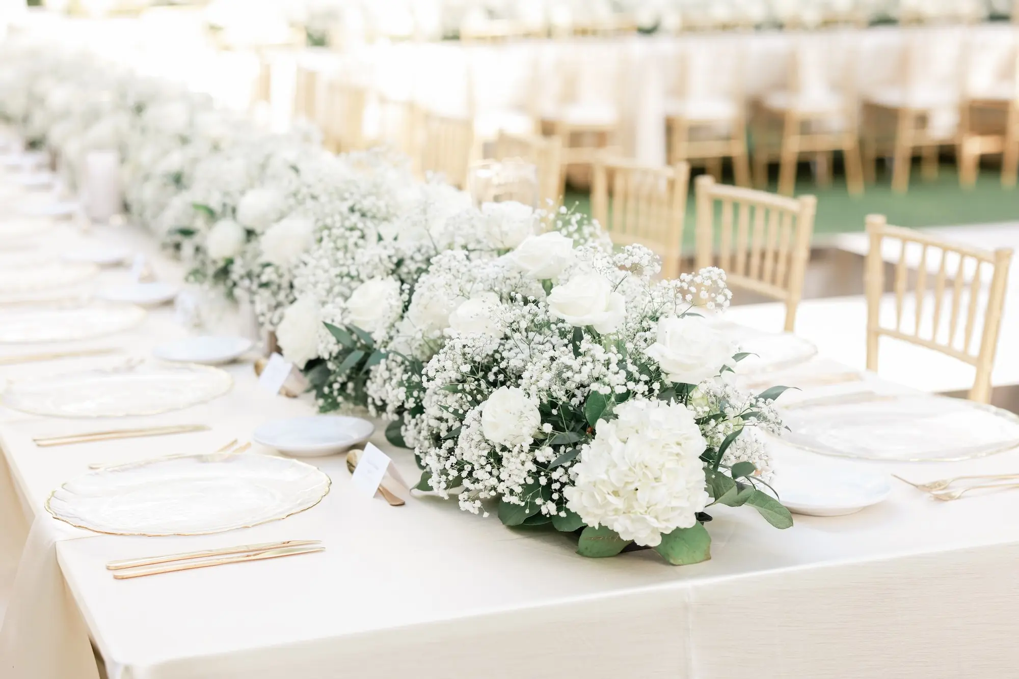 25Elegant Timeless Ivory and Green Garden Wedding - “Best Of” 2025: Wedding Receptions Part 2 Long Wedding Reception Table with White Linens and Gold Chiavari Chairs Inspiration | Clear Chargers with Gold Rims and Gold Flatware Ideas | White Roses and Baby's Breath Wedding Reception Decor Centerpiece Garland Inspiration | Tampa Bay Rentals Fiesta Solutions Event Rentals | St Pete Photographer Lifelong Photography Studio | Caterer Amici's Catered Cuisine