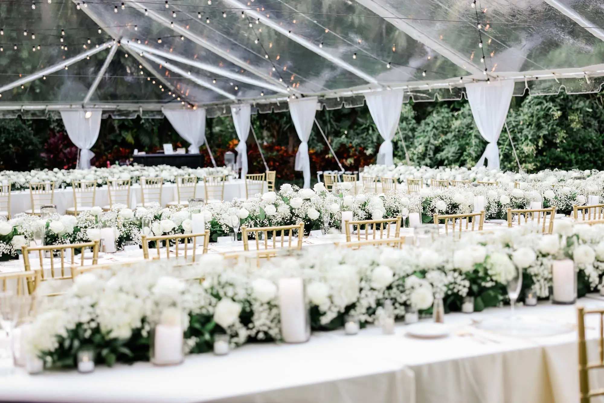 27Elegant Timeless Ivory and Green St Pete Wedding Venue Sunken Gardens - Romantic Outdoor St. Pete Wedding | Sunken Gardens Outdoor Tented Wedding Reception with String Lights Decor Inspiration | Gold Chiavari Chairs at Long White Linen Reception Tables Ideas | White Roses with Baby's Breath Centerpiece Garland Reception Decor Inspiration | Tampa Bay Rentals Fiesta Solutions Event Rentals