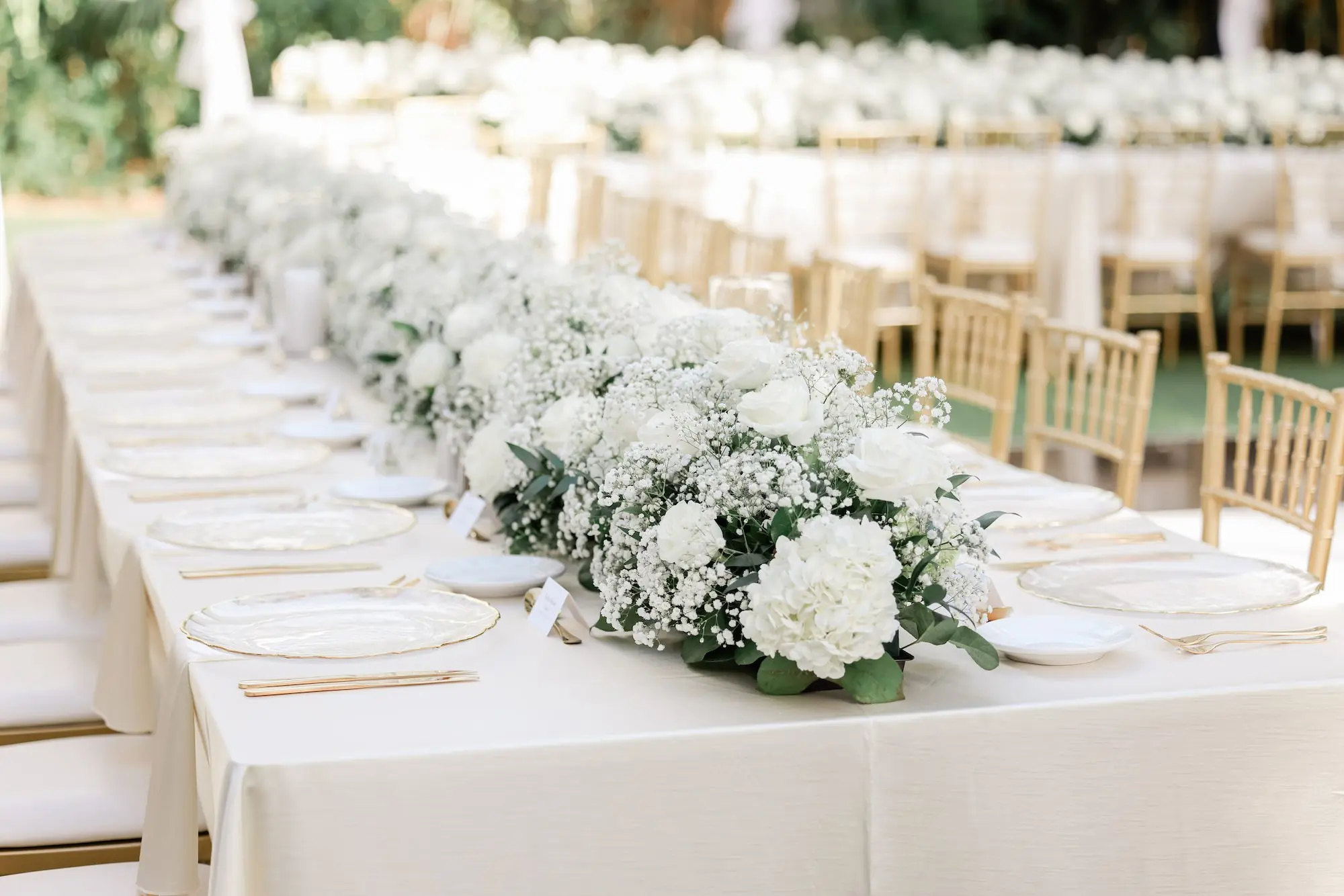 30Elegant Timeless Ivory and Green Garden Wedding - Romantic Outdoor St. Pete Wedding | Sunken Gardens Long Wedding Reception Table with White Linens and Gold Chiavari Chairs Inspiration | Clear Chargers with Gold Rims and Gold Flatware Ideas | White Roses and Baby's Breath Wedding Reception Decor Centerpiece Garland Inspiration | Tampa Bay Rentals Fiesta Solutions Event Rentals | Caterer Amici's Catered Cuisine