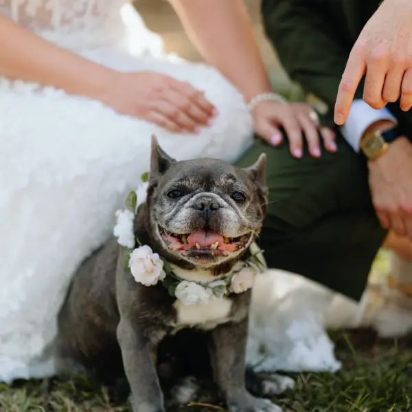 13 4Colorful Pink Yellow Orange Florida Wedding Inspiration - Whimsical, Colorful Outdoor Wedding | St. Pete Shuffleboard Club Dog Wedding Portrait | Tampa Bay FairyTail Pet Care