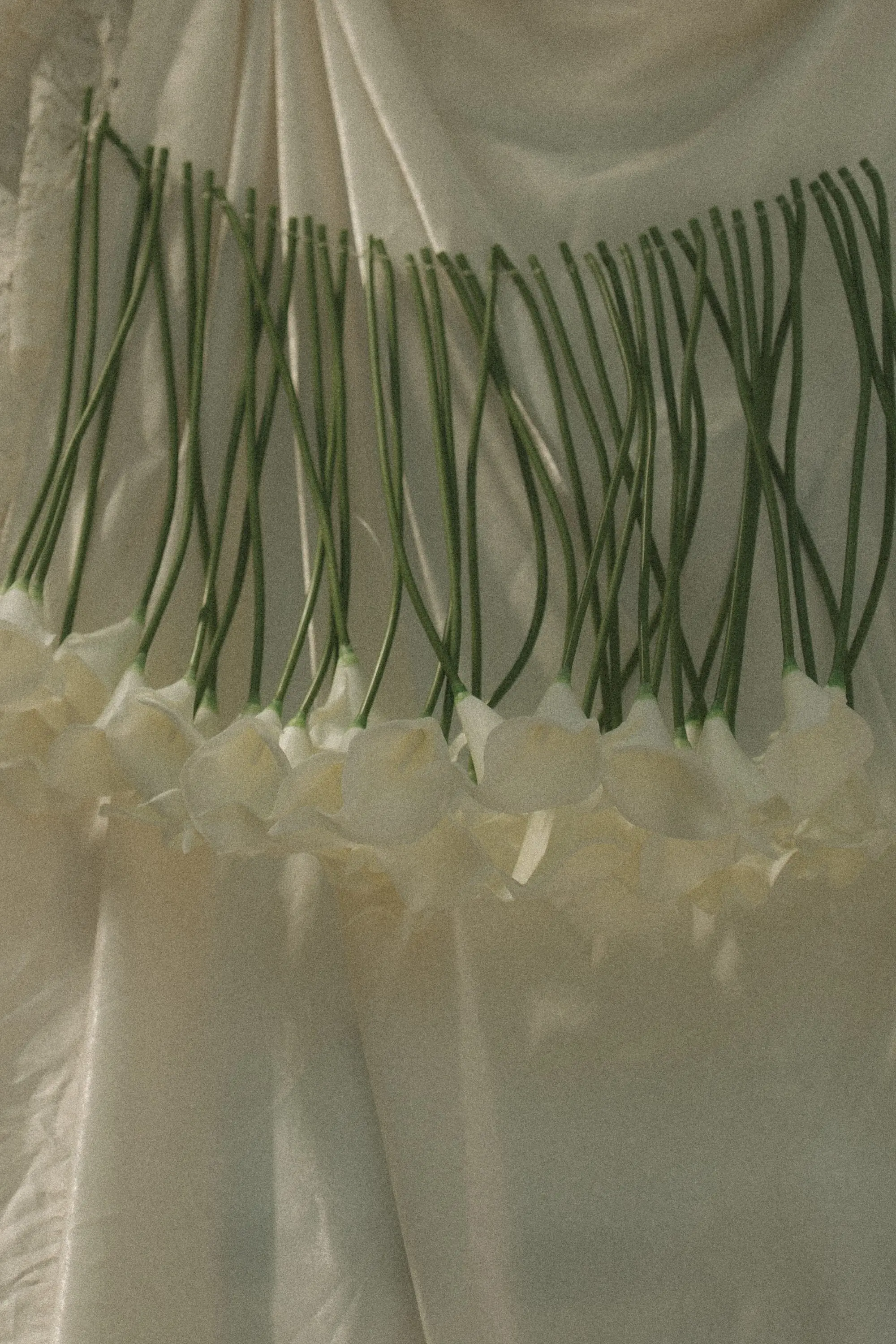 Ethereal Hanging Cala Lily Flowers | Moody Elegant Wedding Decor Inspiration