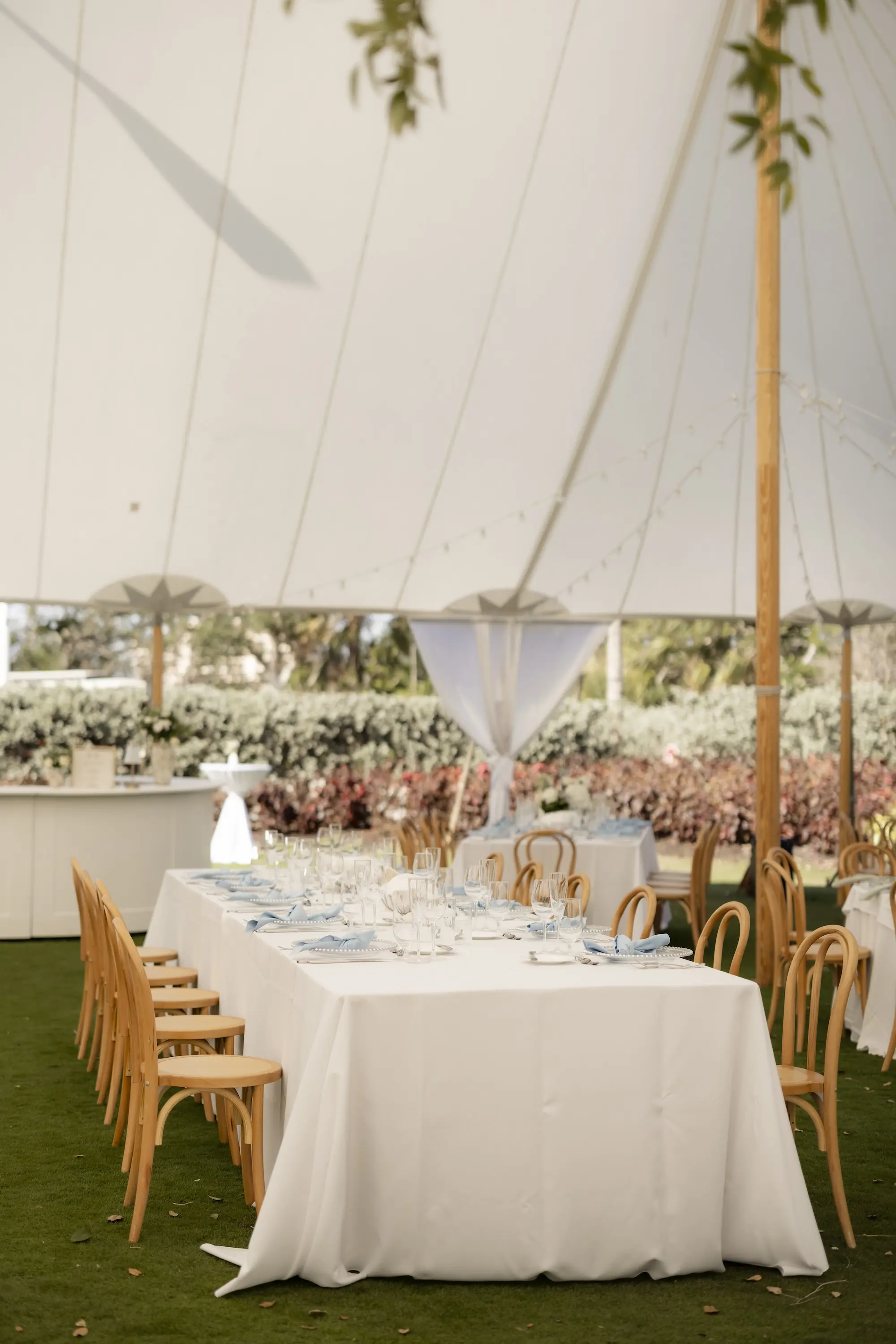 Spring Outdoor Garden Tent Wedding Reception | Modern Wooden Chairs at Tables with White Linens | Tampa Wedding Venue The Resort at Longboat Key Club