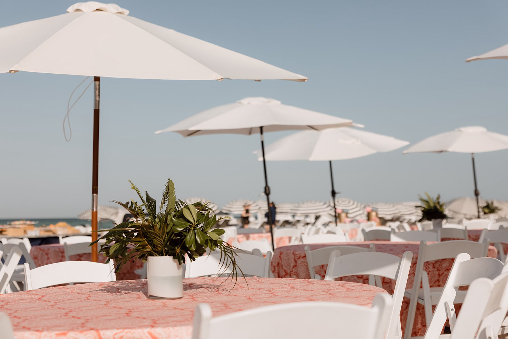 28 1Tropical Pink and Red Sarasota Beach Indian Wedding Ceremony - Vibrant Pink and Gold Multicultural Sarasota Wedding | Powel Crosley Estate Oceanfront Wedding Ceremony Reception Ideas | Large White Beach Umbrellas at Round Dining Tables with Coral Decorative Patterned Linens and White Folding Chairs Wedding Ceremony Decor Inspiration | Potted Green Plant in a Minimalist White Vase Centerpiece Decor Ideas | Sarasota Beach Event Venue The Resort at Longboat Key Club