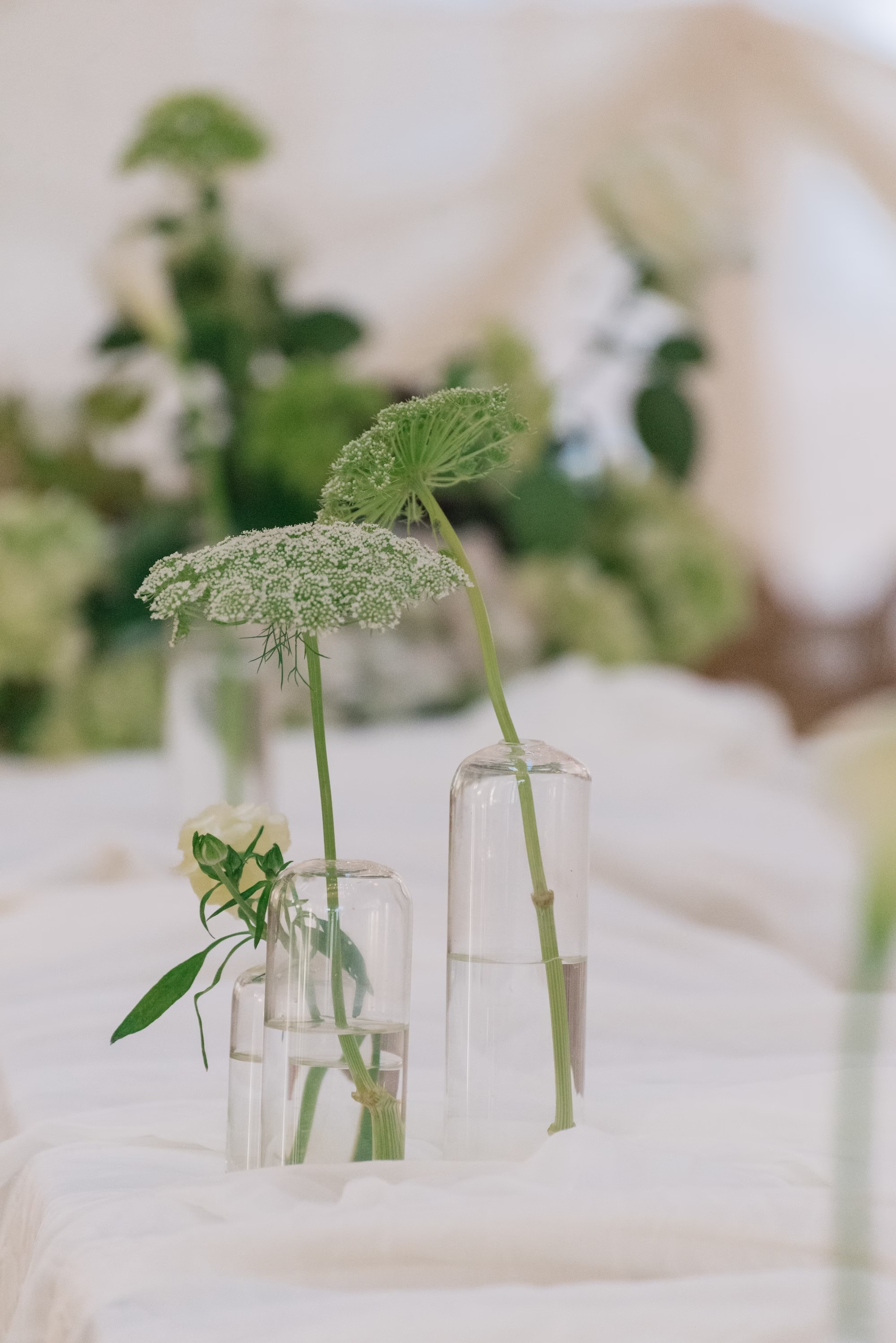 Minimalist Modern Green Queen Anne's Lace in Simple Glass Bud Vase Wedding Reception Centerpieces Decor Inspiration | Green and White Tiny Umbrella Florals Tablescape Decor Ideas | St Pete Planner Stelloccasions Weddings and Events