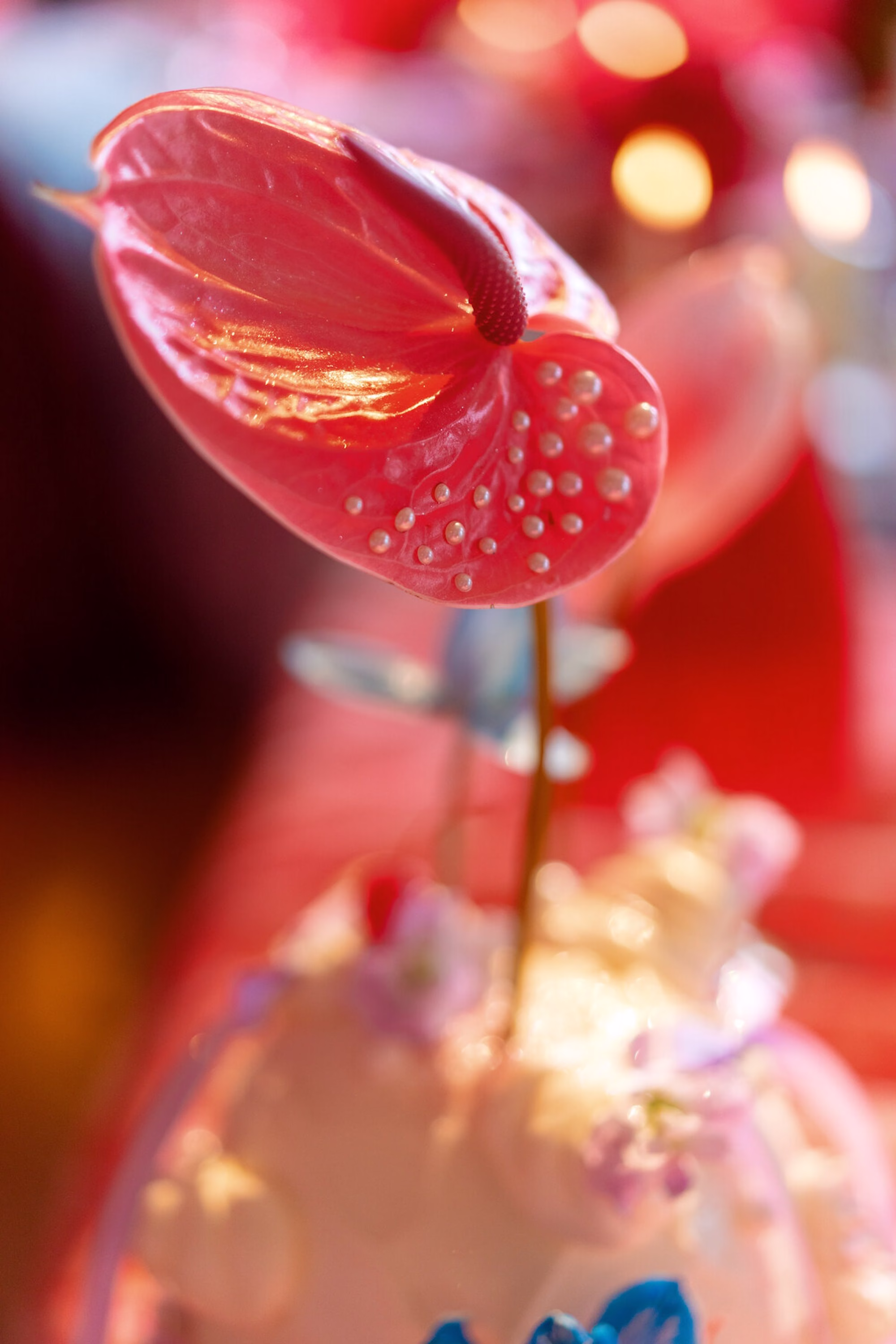 59Whimsical Red Las Vegas Pink Pony Club Inspired Wedding - Bold and Vibrant Same-Sex Ybor City Wedding Inspiration | Hotel Haya Whimsical Red Las Vegas Pink Pony Club Wedding Decor Ideas