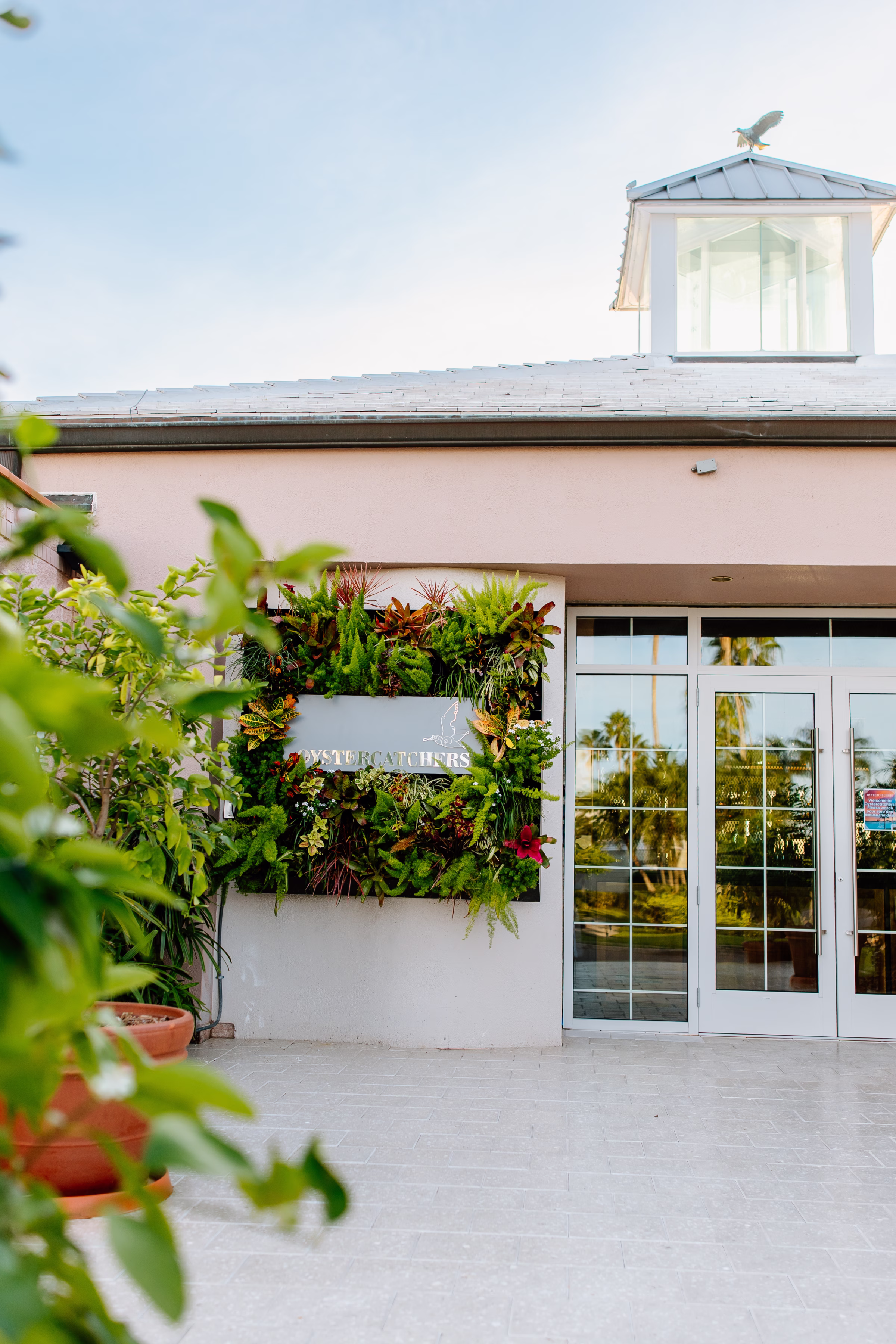 Oystercatchers 3 - Best Places to Celebrate Mother's Day in Tampa Bay Oystercatchers 3