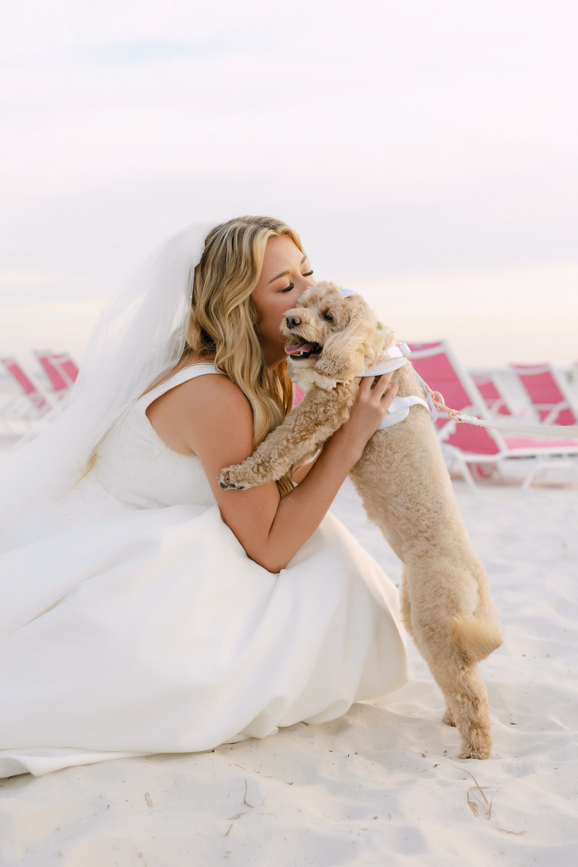 Bride with Dog Wedding Portrait | St Pete FairyTail Pet Care