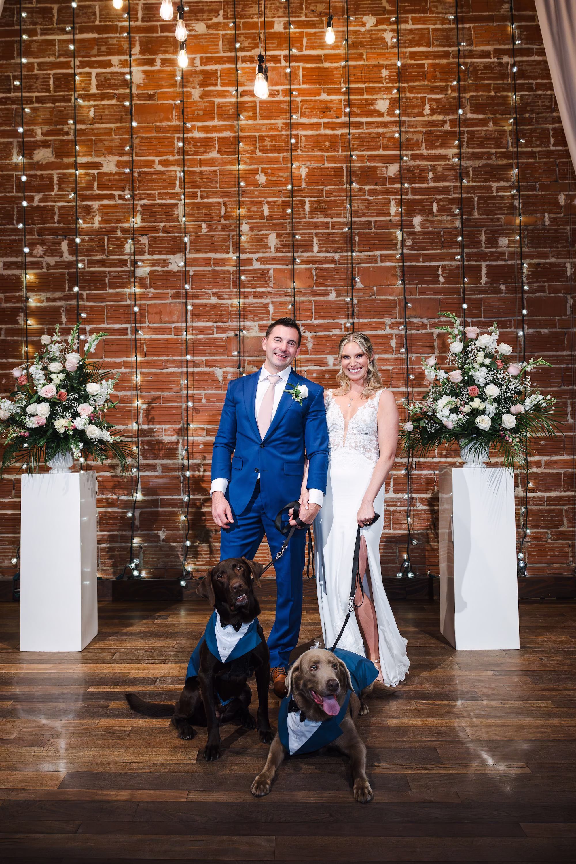Bride and Groom with Dogs Wedding Portrait