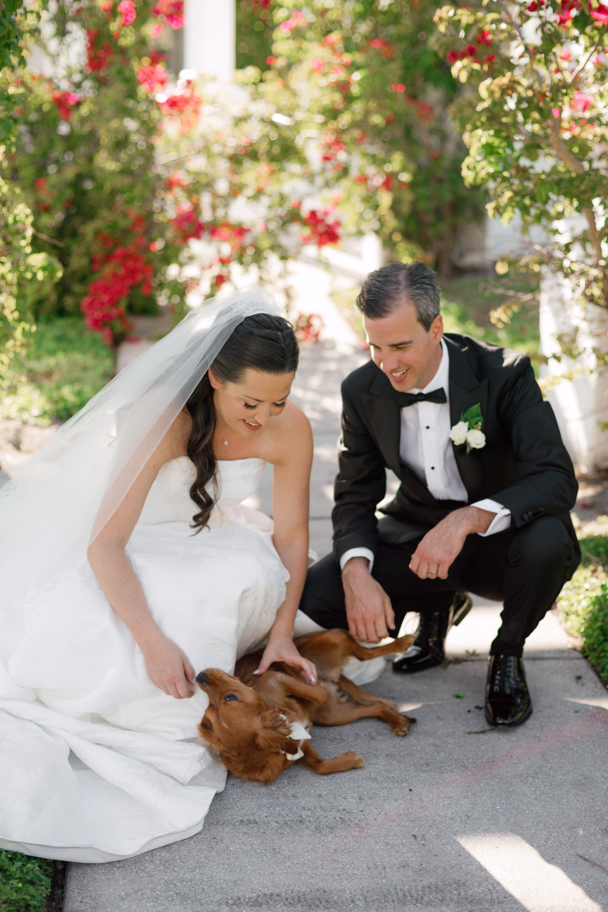 28Tropical Green Florida Wedding Ideas - Tropical, Green Downtown St. Pete Wedding | Poynter Institute Bride and Groom with Dog Outdoor Spring Wedding Portrait | Slicked Back Half Up Hair Down Curled Wedding Bridal Hair Inspiration | Florida Hair and Makeup Adore Bridal | Tampa Bay Photographer Dewitt For Love