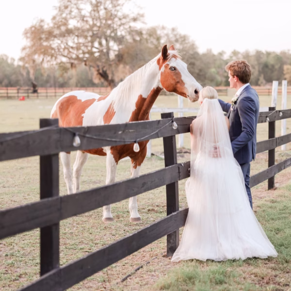 Bride and Groom Wedding Portrait with Horse | Clearwater Photographer Lifelong Photography Studio | Tampa Bay Event Venue Legacy Lane Weddings