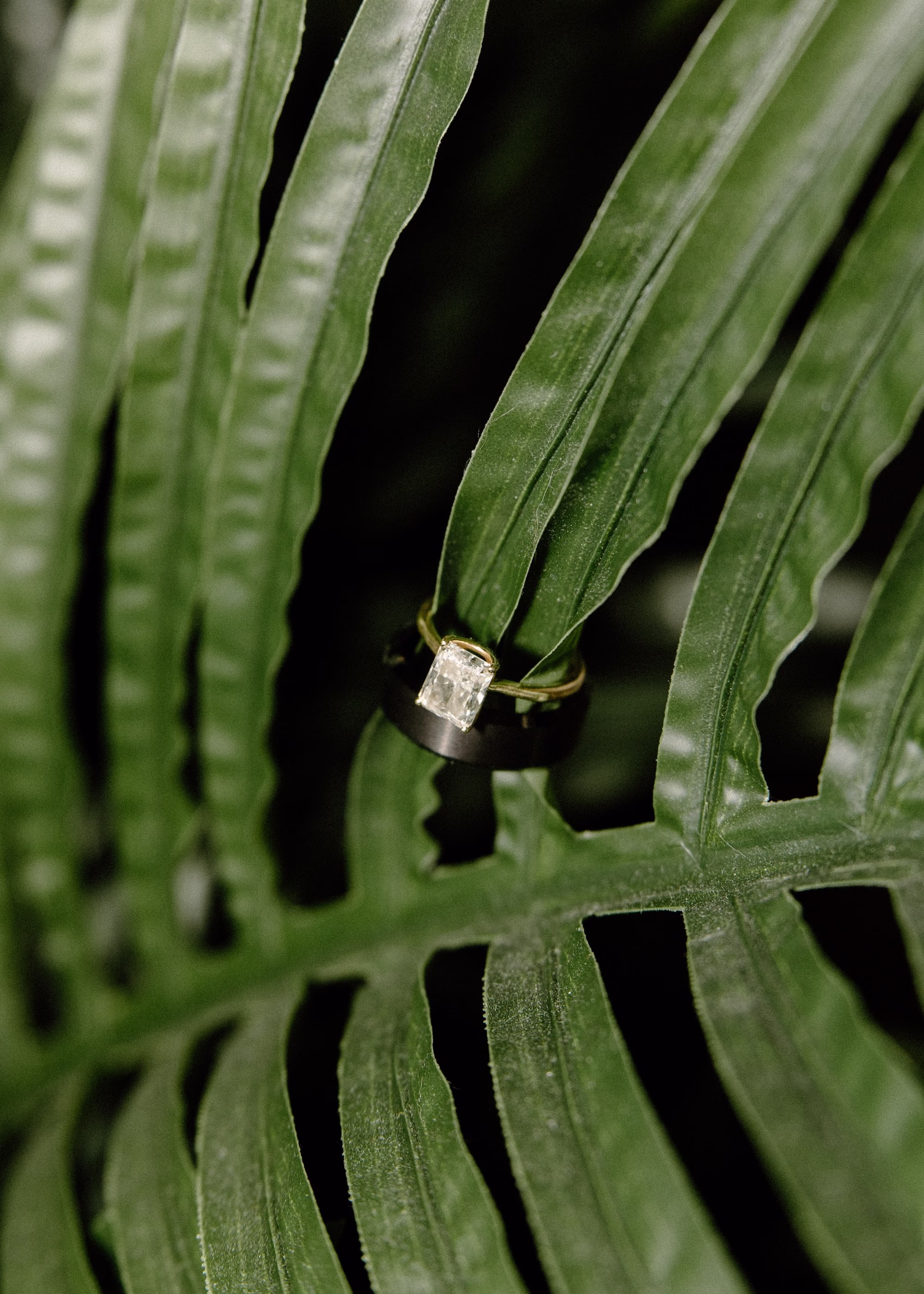 4Whimsical Pastel Spring Orange Yellow and Purple Wedding Inspiration - Whimsical, Colorful Waterfront Wedding | Tampa River Center Engagement Ring on Green Grand Palm Wedding Portrait