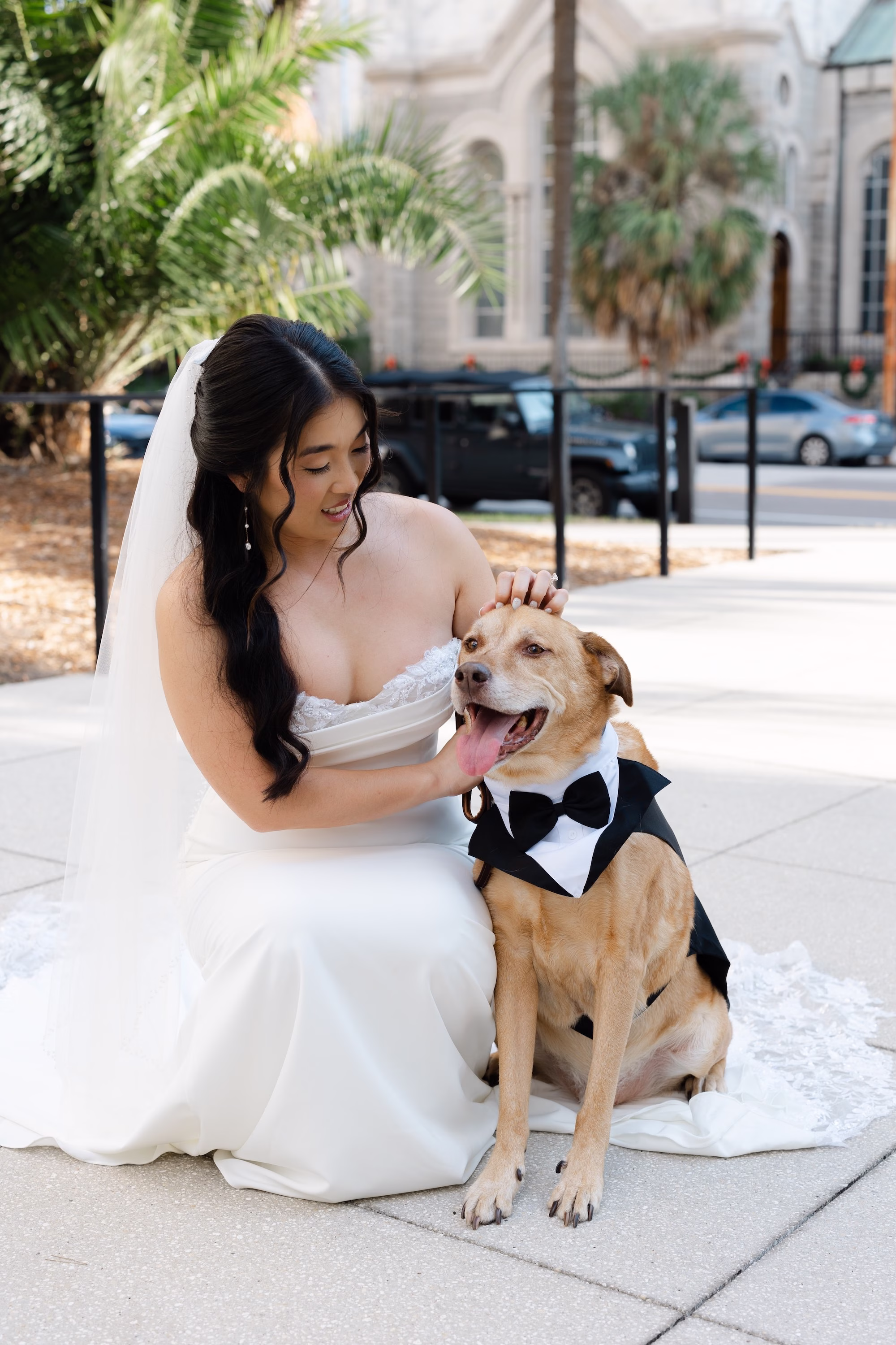 10Elegant Dusty Blue and Gold Wedding Inspiration - Elegant, Dusty Blue and Gold Downtown Tampa Wedding | Le Méridien Tampa Bride with Dog Wedding Portrait