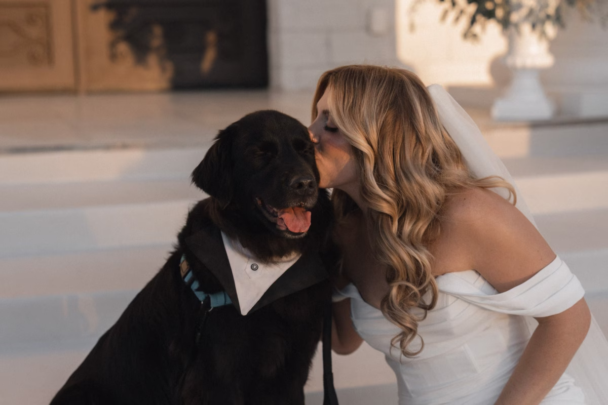 Bride with Dog Wedding Portrait | St Pete FairyTail Pet Care | Tampa Bay Photographer Amber Yonker Photography