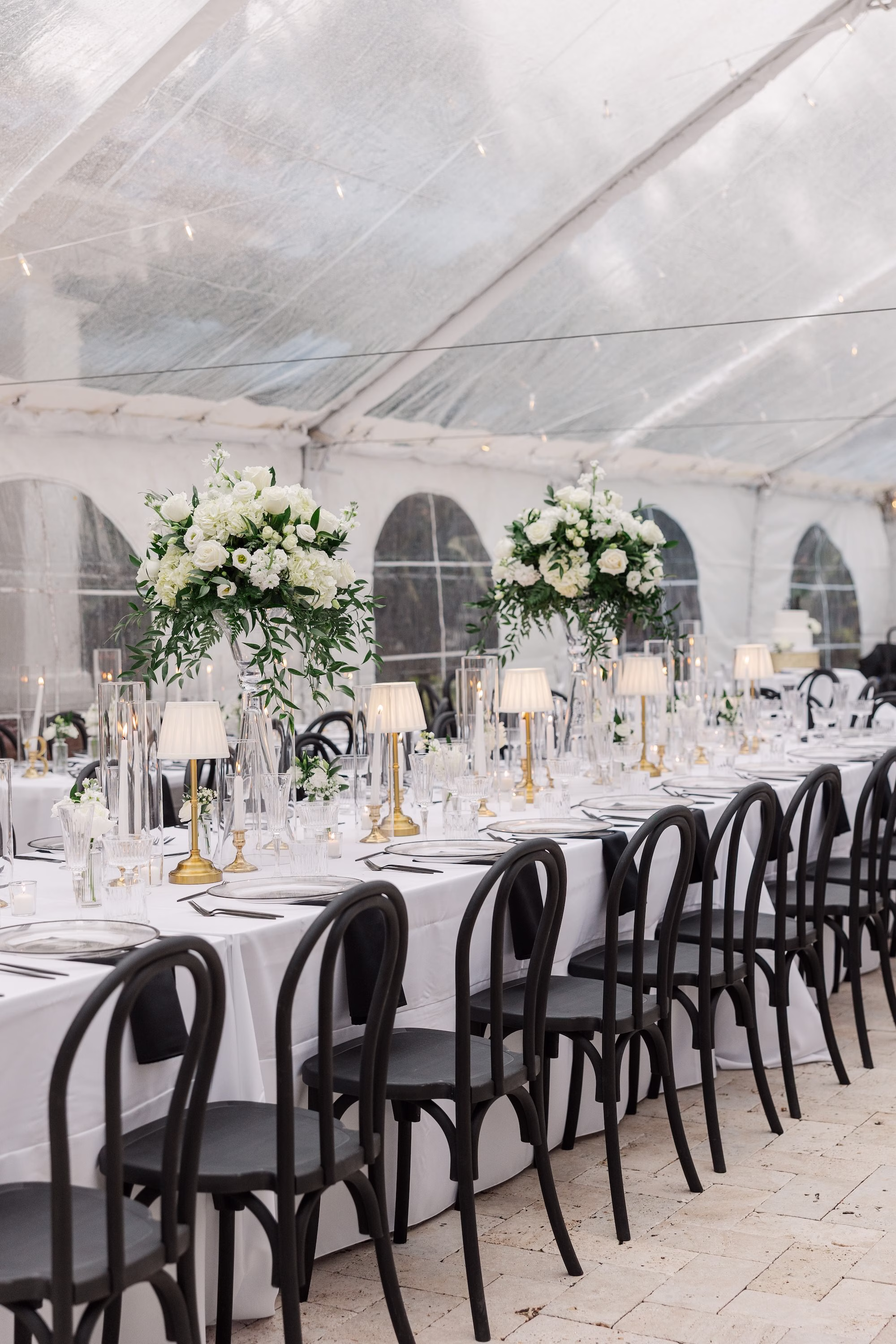 Black Bentwood Chairs and White Linens with Tall White Rose and Greenery Centerpieces on Gold Stands Under Clear Tent Wedding Reception Ideas | Wedding Reception at Palmetto Venue Palmetto Riverside Bed and Breakfast | Rentals Fiesta Solutions Event Rentals | Rentals Kate Ryan Event Rentals