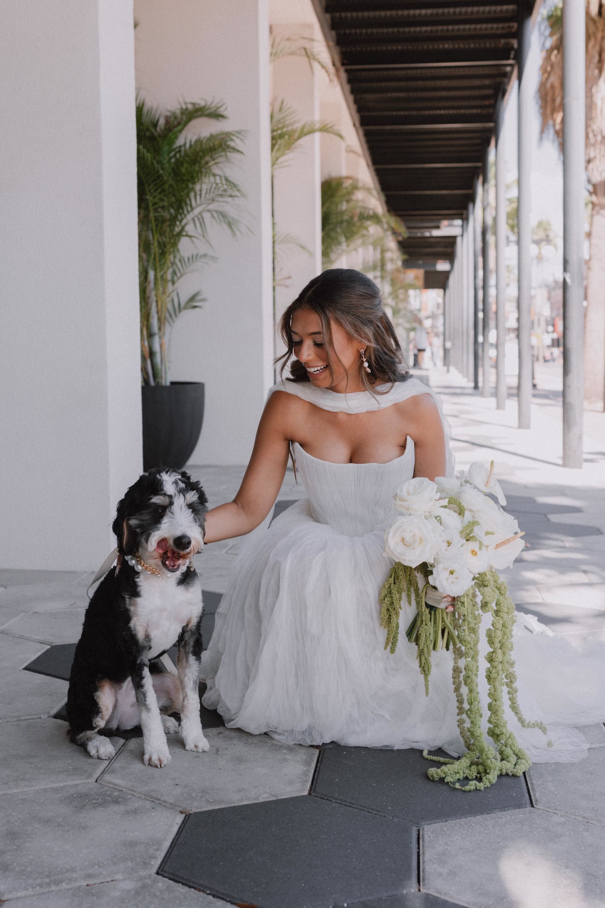 4Classic Modern Black and White Wedding Ideas - Modern Black and Ivory Ybor City Wedding | J.C. Newman Cigar Co. Bride with Black and White Dog Wedding Portrait Holding White Rose and Hanging Amaranthus Bouquet