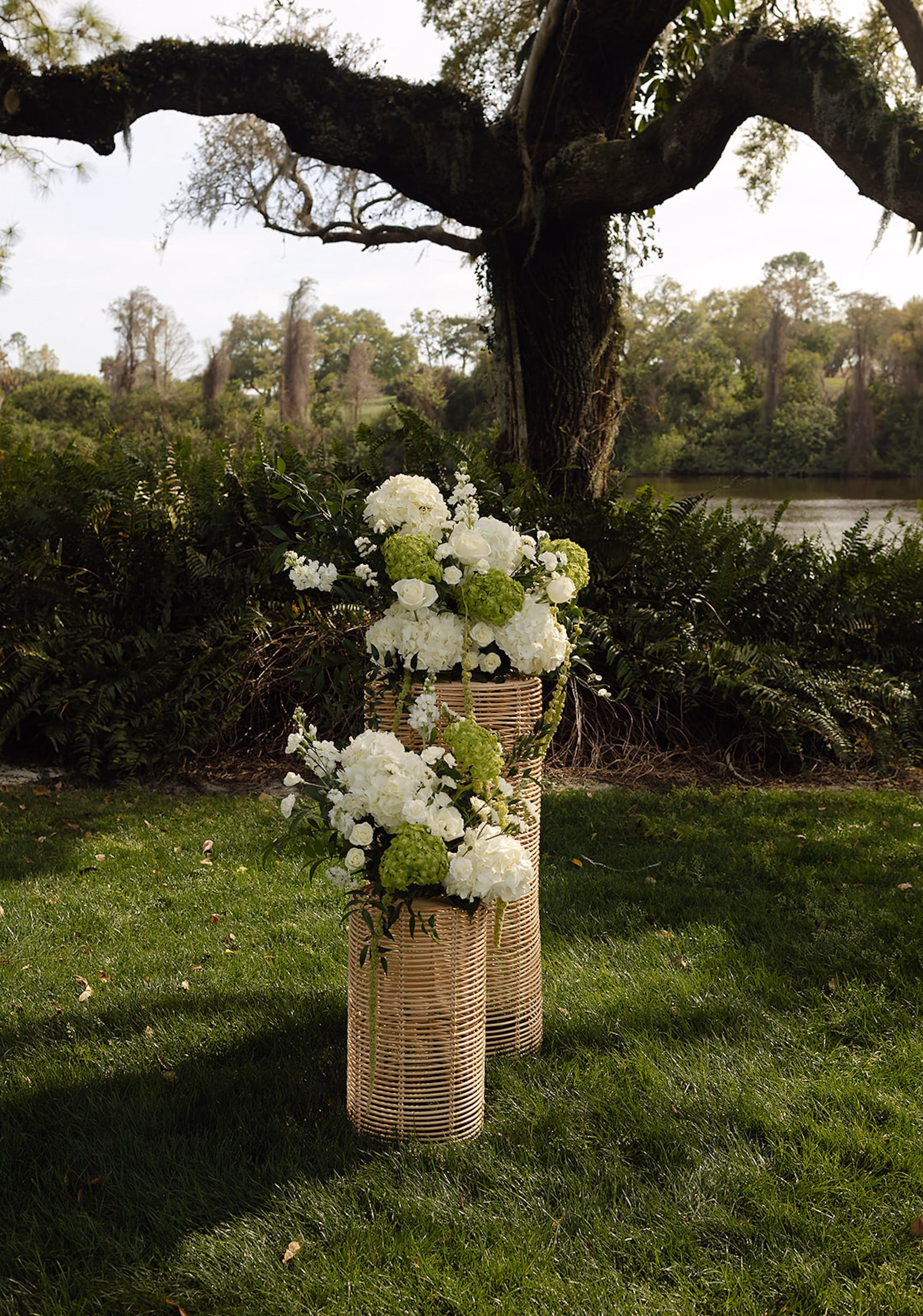White Hydrangea and Green Hydrangea Ceremony Arrangements in Woven Rattan Pedestals Under Oak Tree Ideas