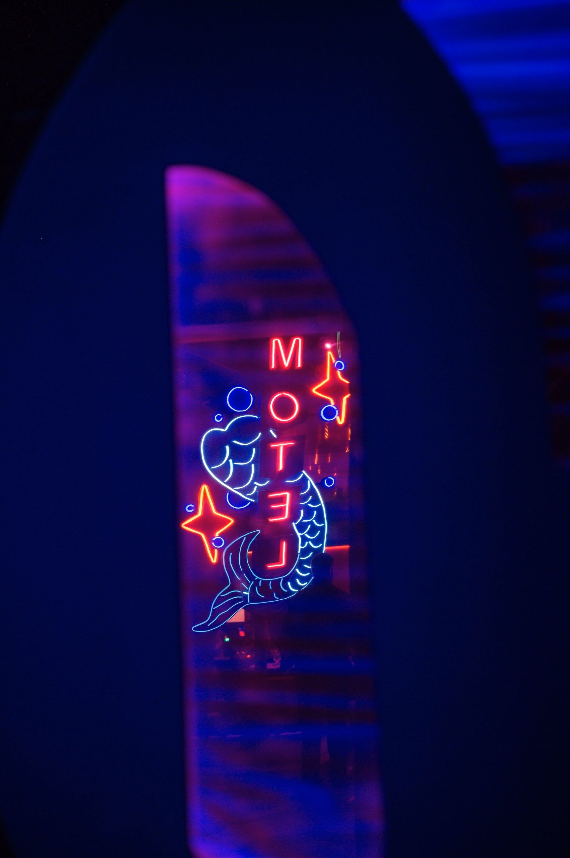 22Vibrant Disco Themed Wedding Inspiration St Pete Musuem Venue FloridaRAMA - Neon Disco Meets Old Florida St. Pete Wedding | FloridaRAMA Neon Motel Sign Art Installation at Immersive Art Museum Wedding Venue St. Pete FloridaRAMA