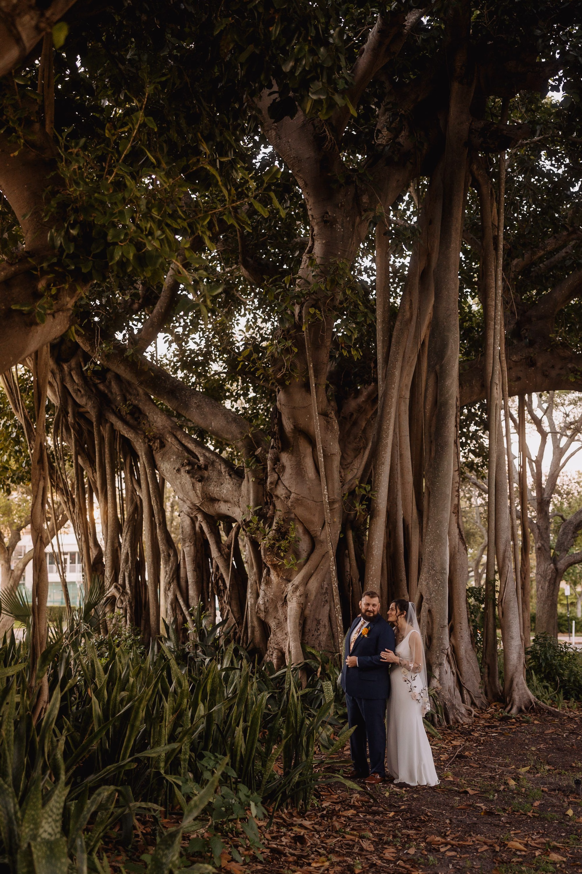 Bride Holding Groom's Hand Walking Under Banyan Tree at Golden Hour